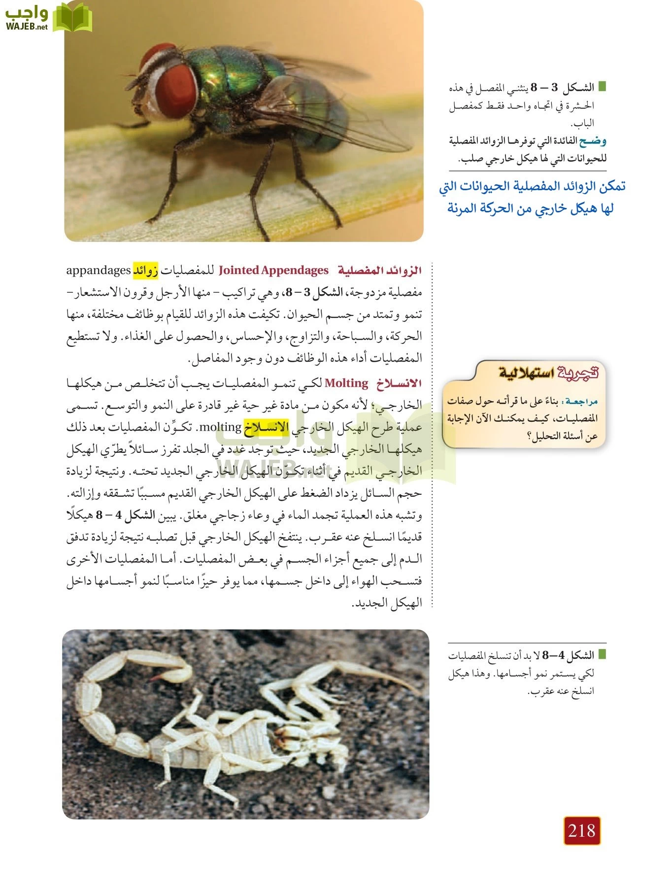 أحياء 1 مقررات page-217