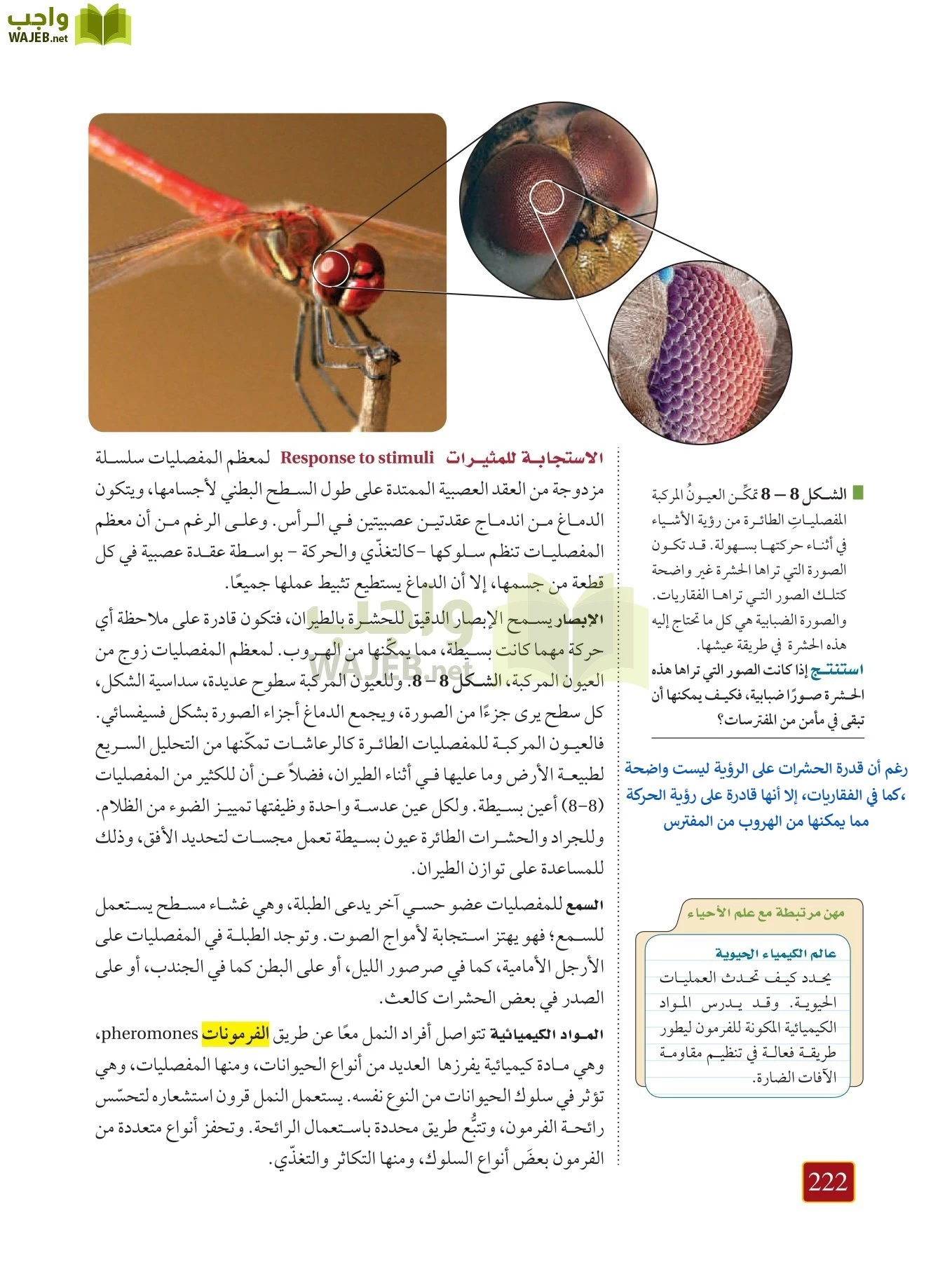 أحياء 1 مقررات page-221