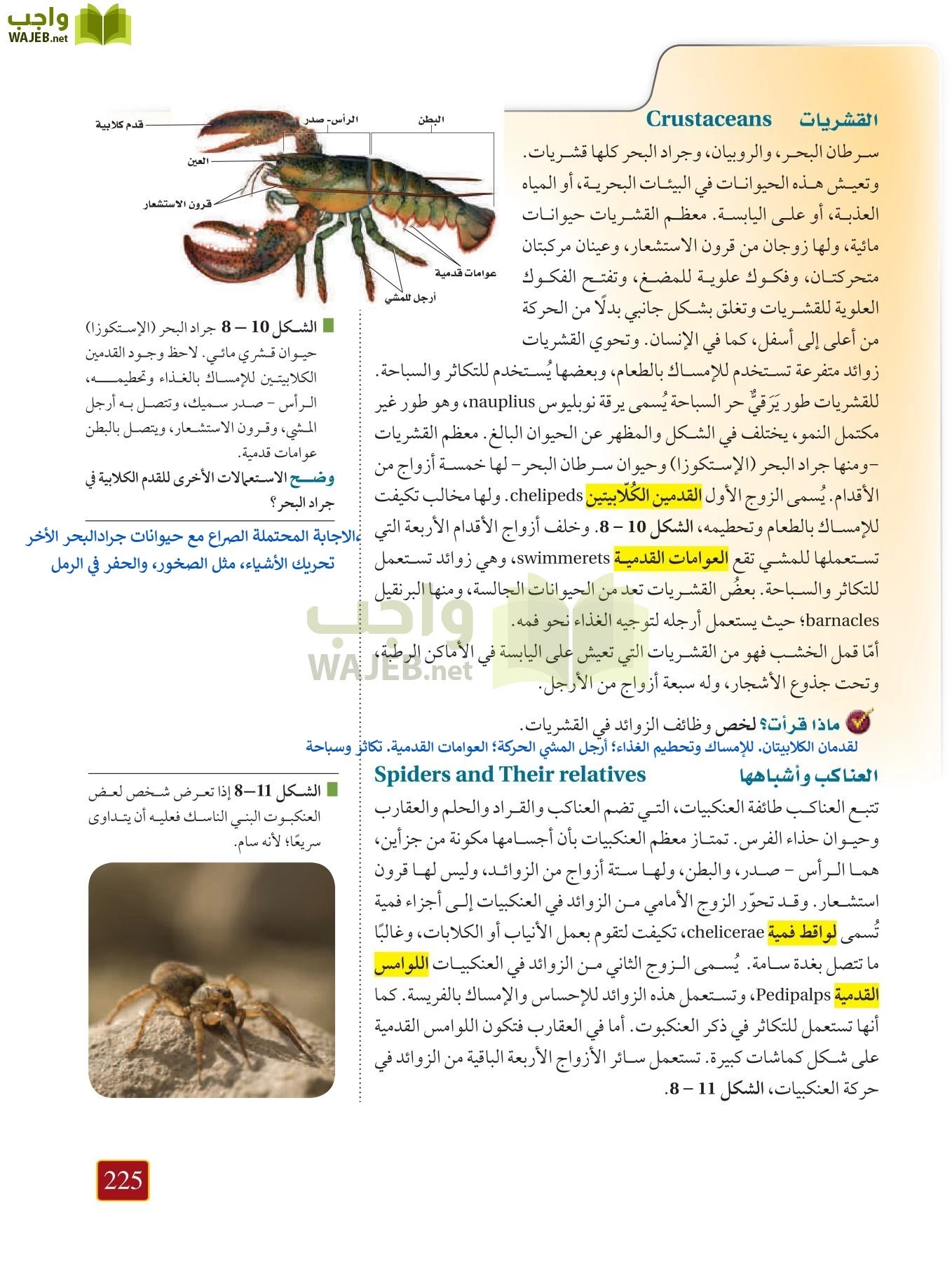 أحياء 1 مقررات page-224