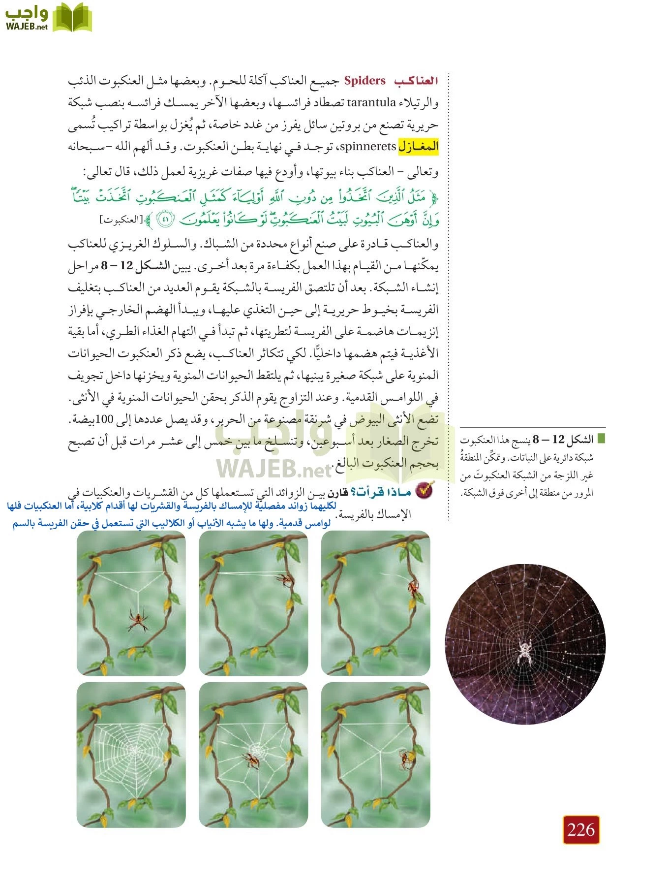 أحياء 1 مقررات page-225