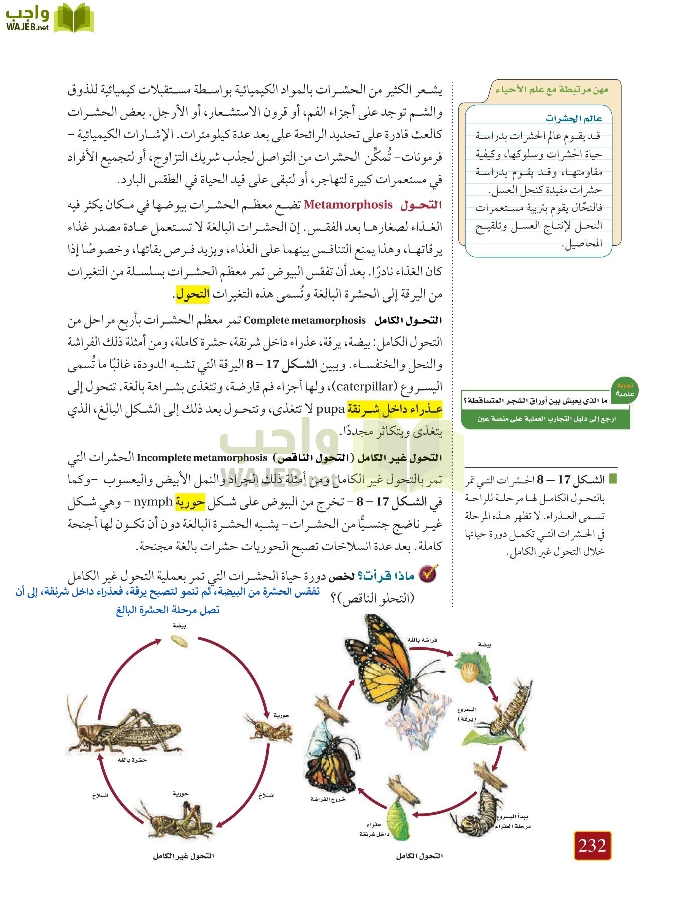 أحياء 1 مقررات page-231