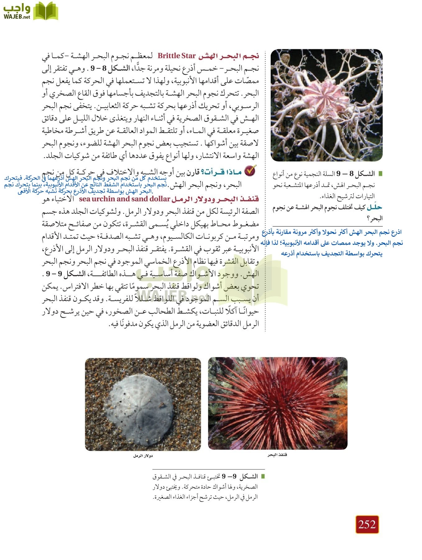 أحياء 1 مقررات page-251