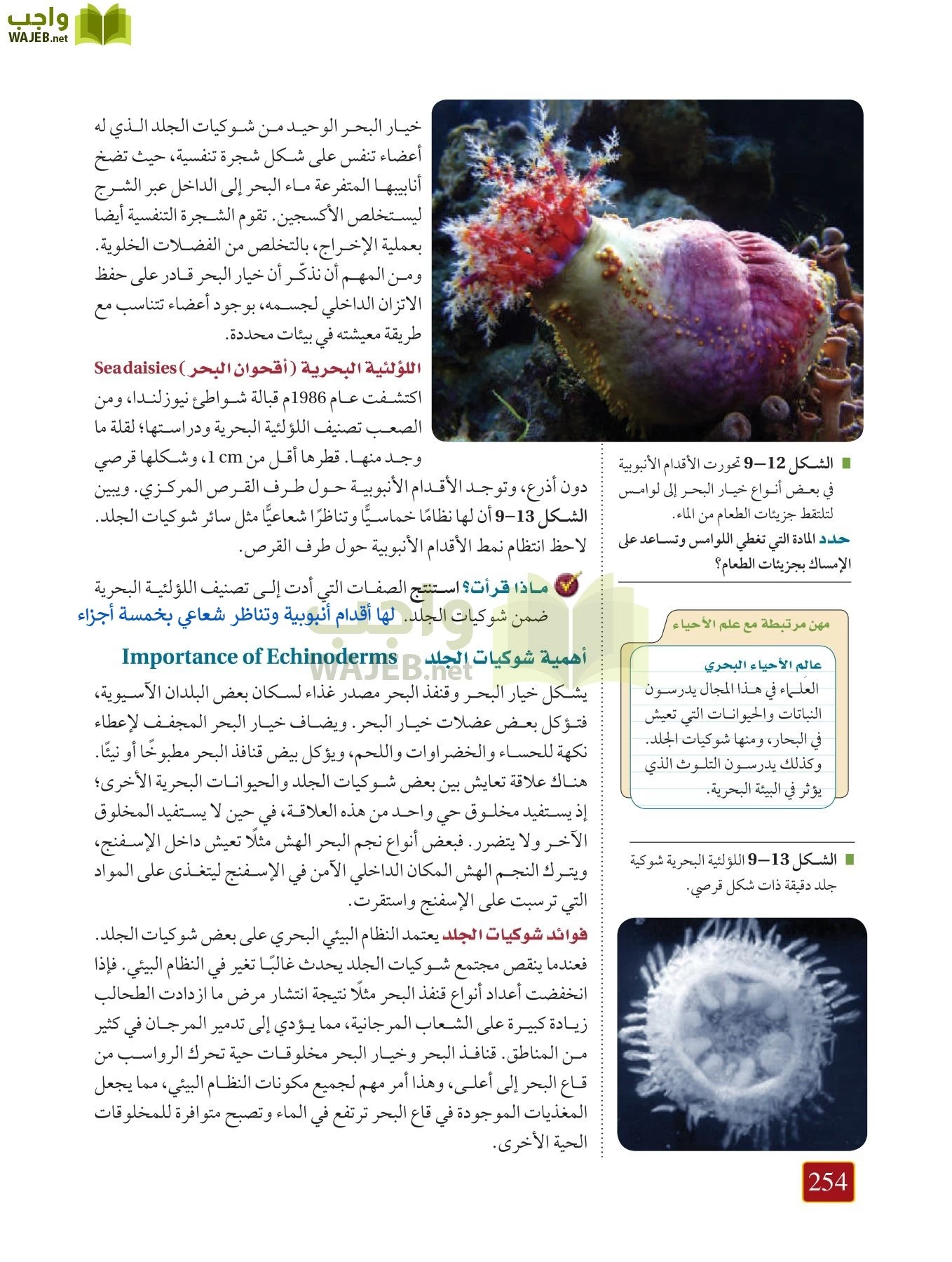 أحياء 1 مقررات page-253