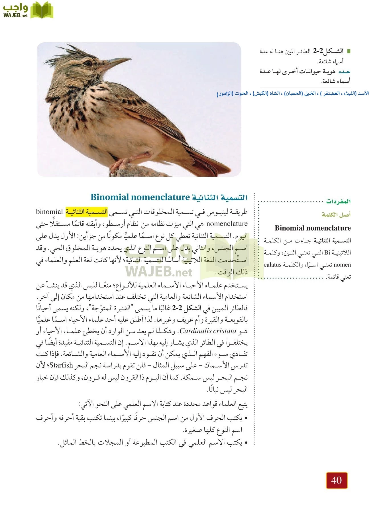 أحياء 1 مقررات page-39