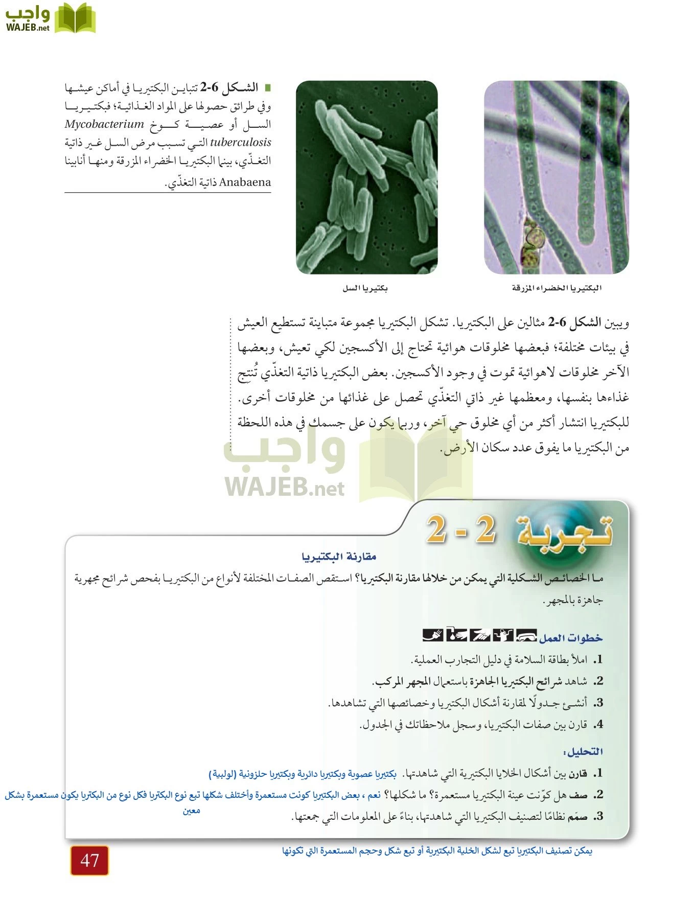 أحياء 1 مقررات page-46