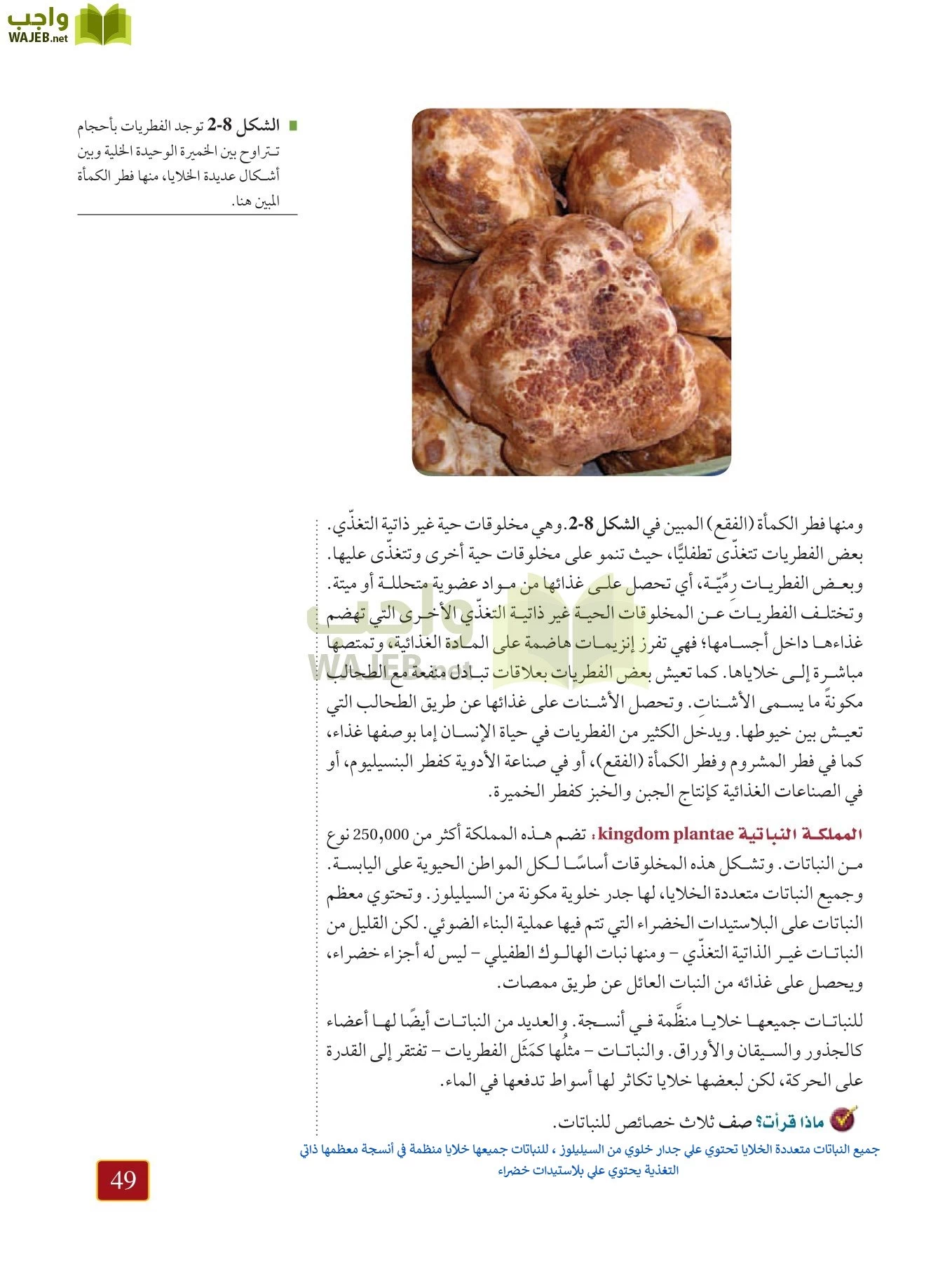 أحياء 1 مقررات page-48