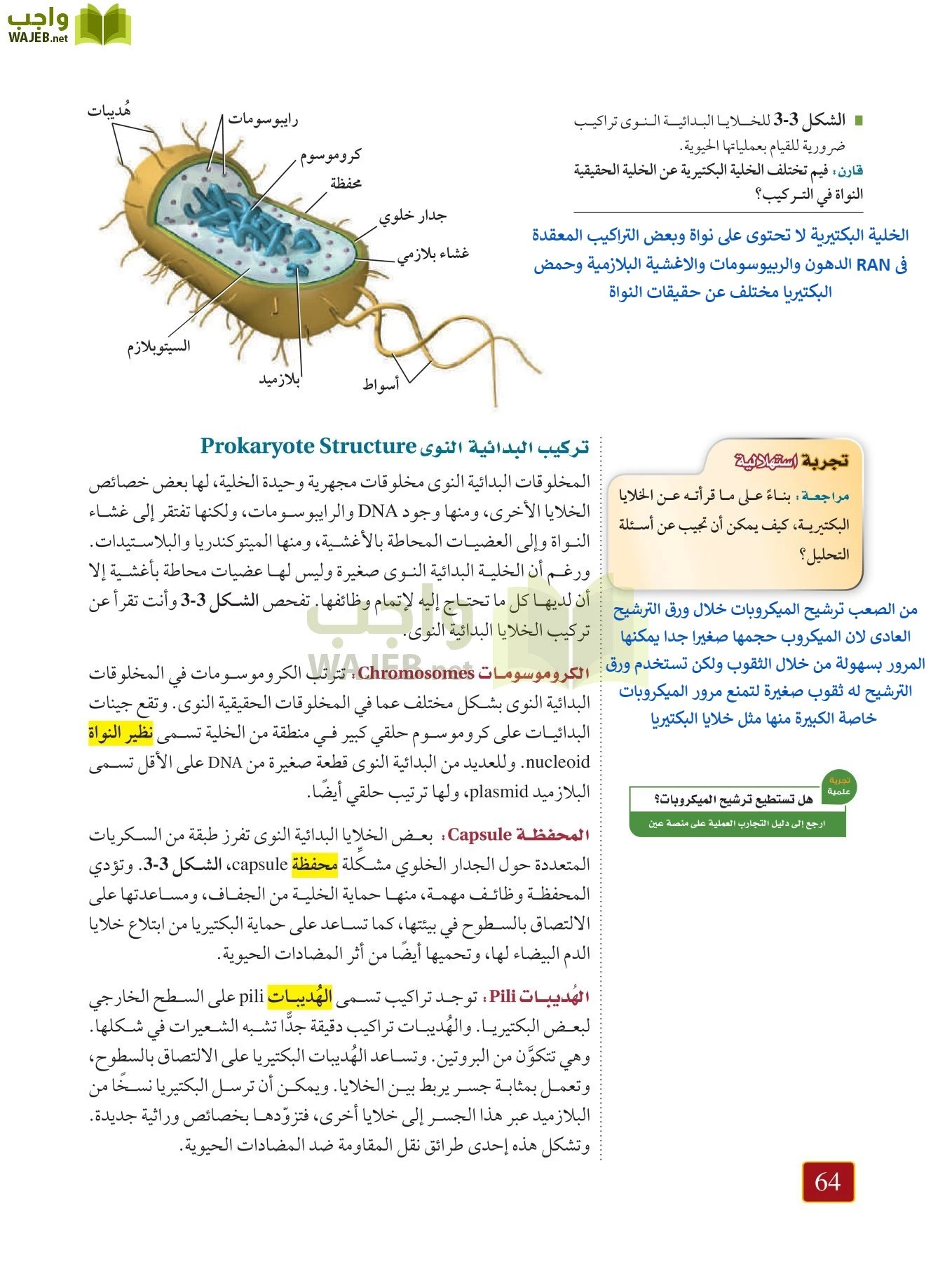 أحياء 1 مقررات page-63