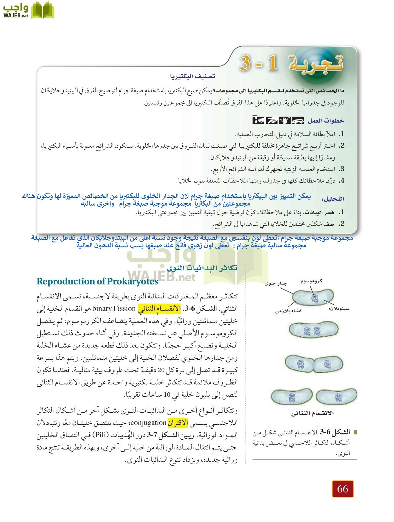 أحياء 1 مقررات page-65