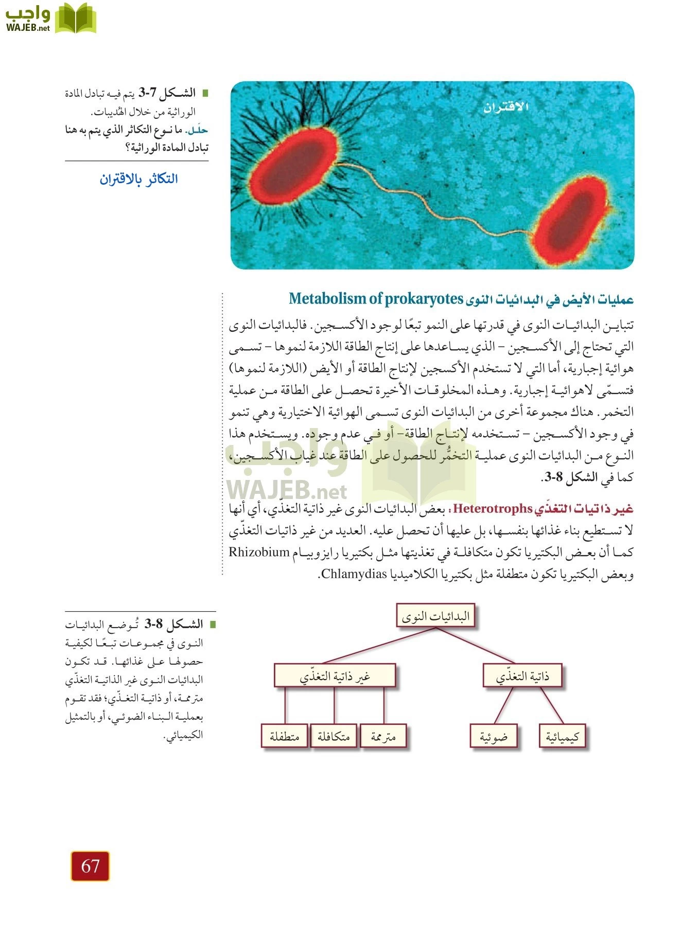 أحياء 1 مقررات page-66