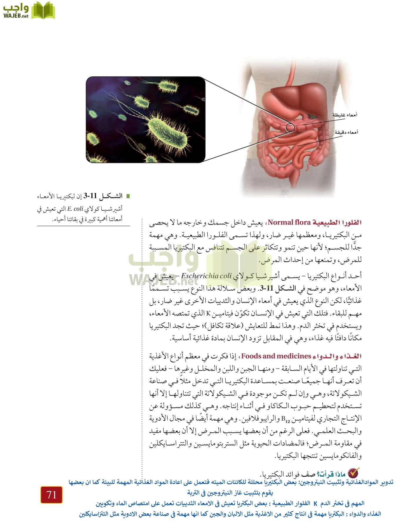 أحياء 1 مقررات page-70