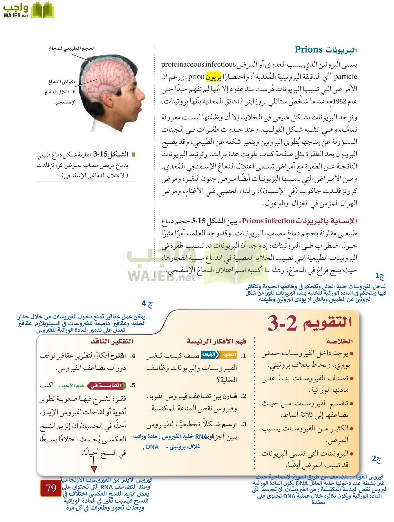 أحياء 1 مقررات page-78