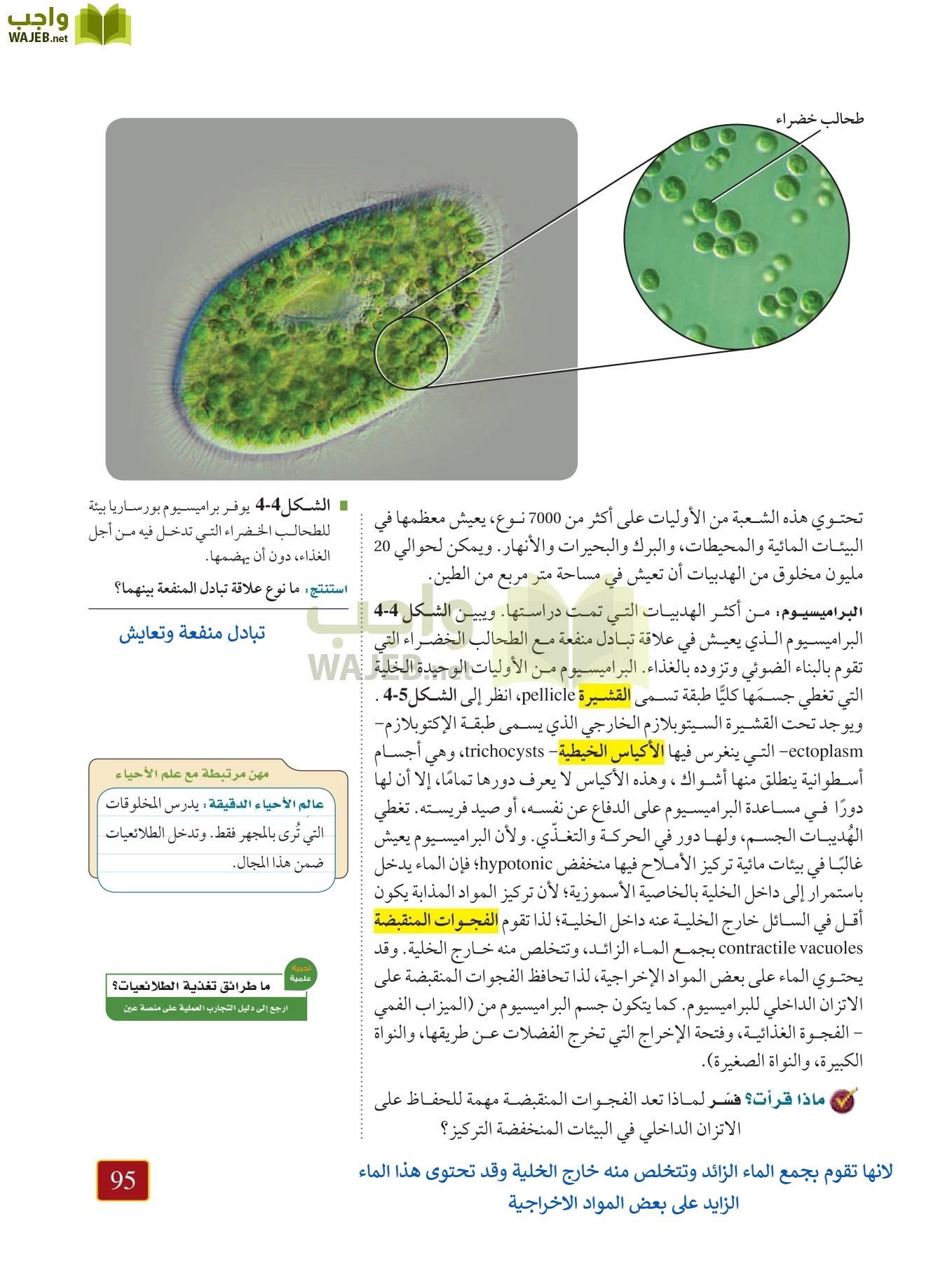 أحياء 1 مقررات page-94