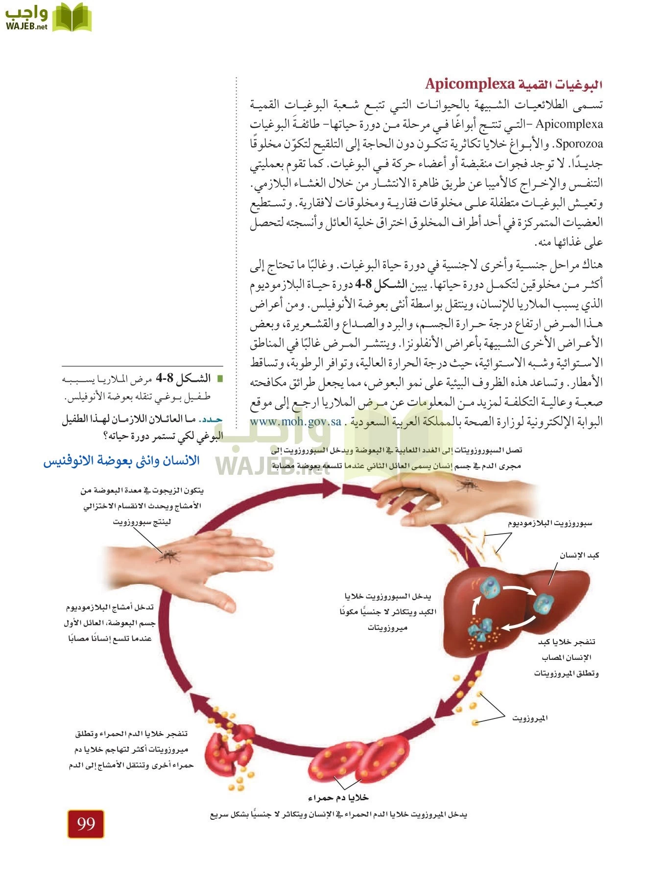 أحياء 1 مقررات page-98