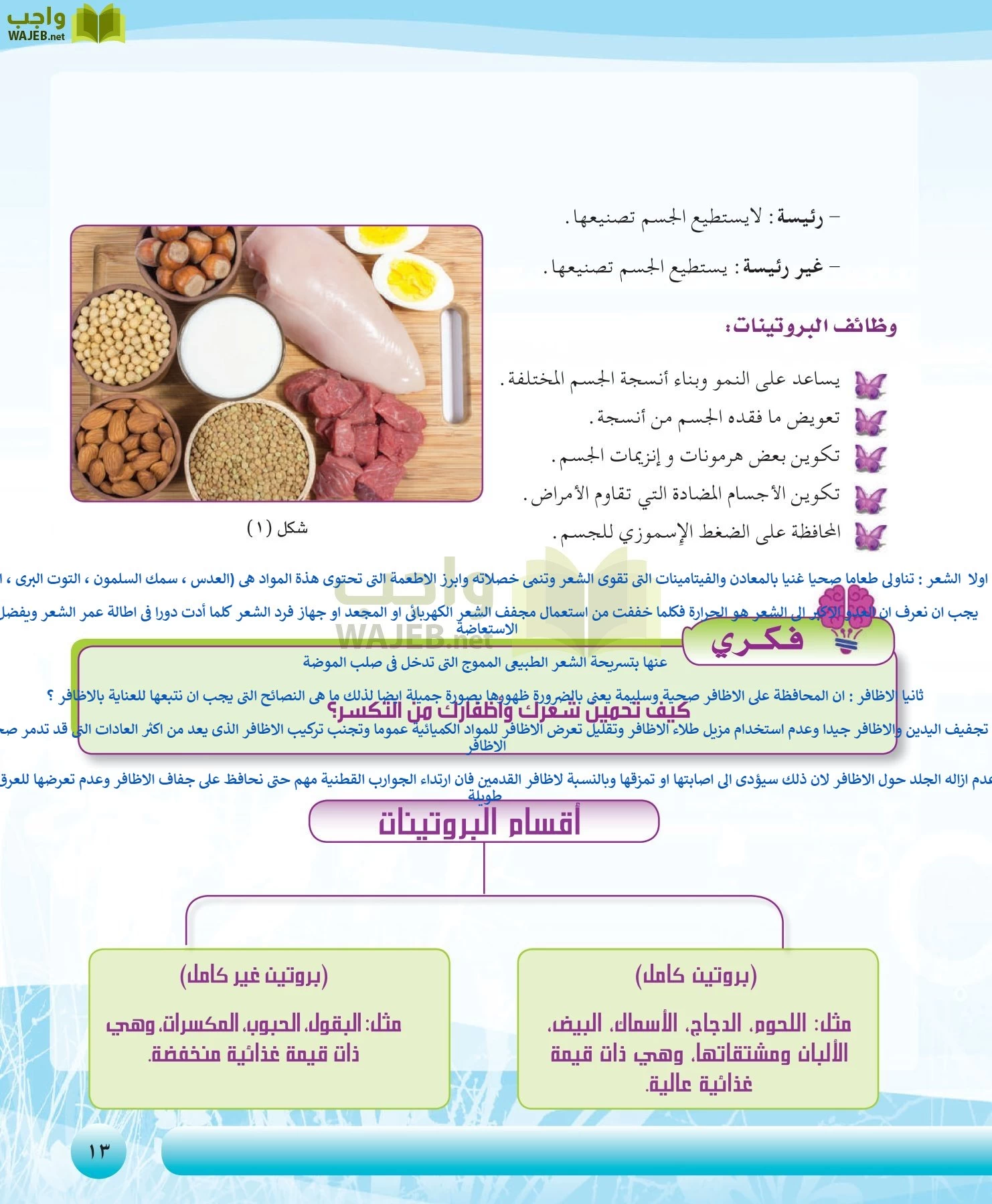 التربية الصحية والنسوية مقررات page-13