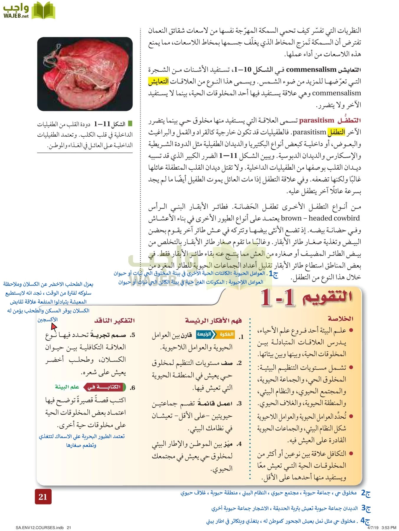 علم البيئة مقررات page-21