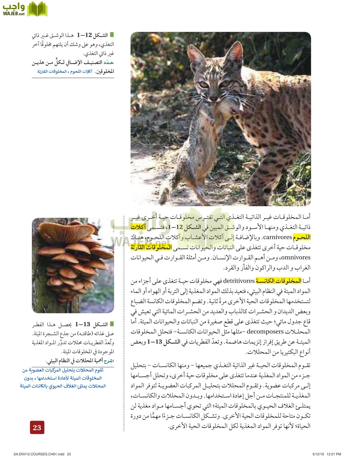 علم البيئة مقررات page-23