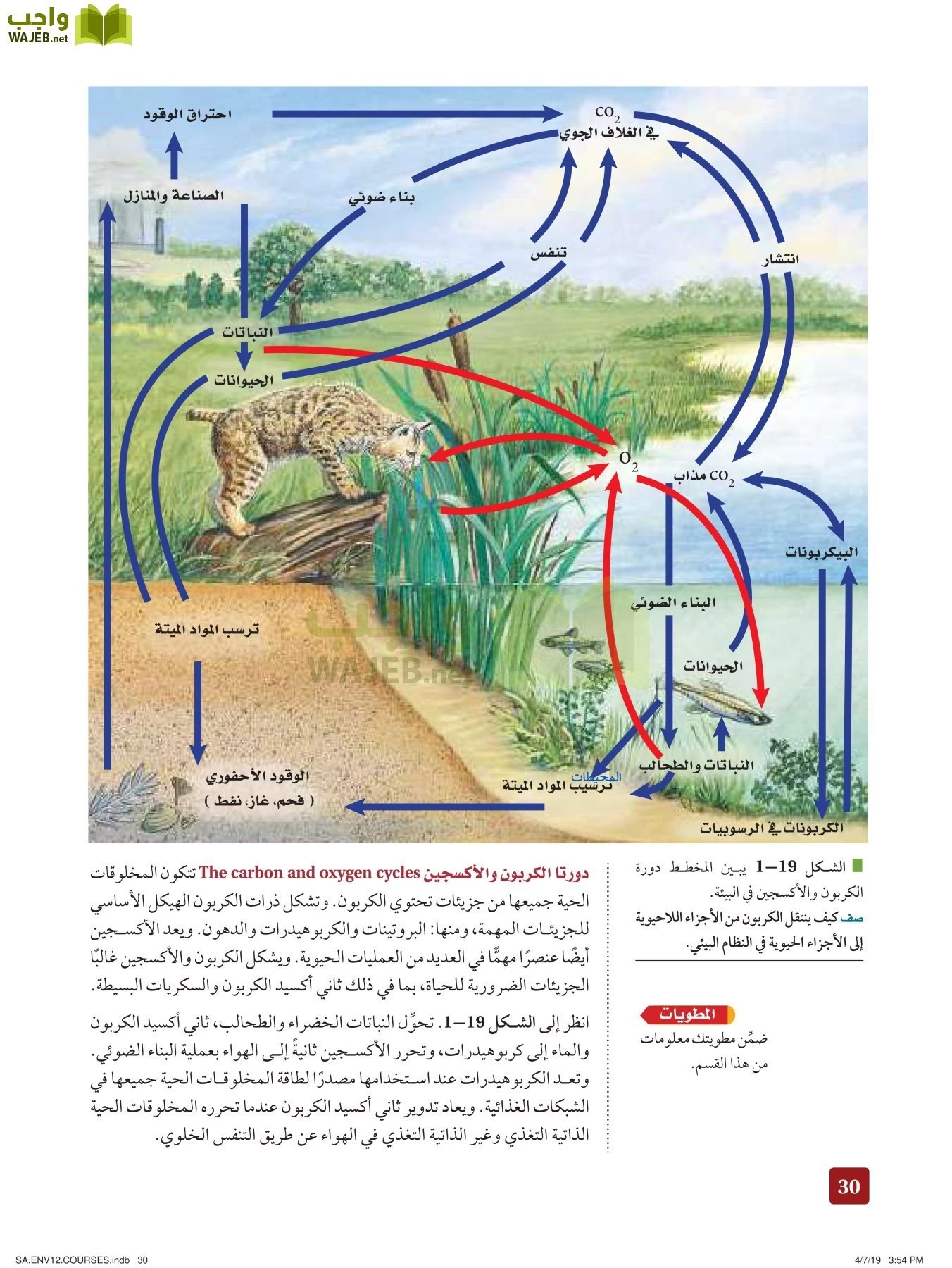 علم البيئة مقررات page-30