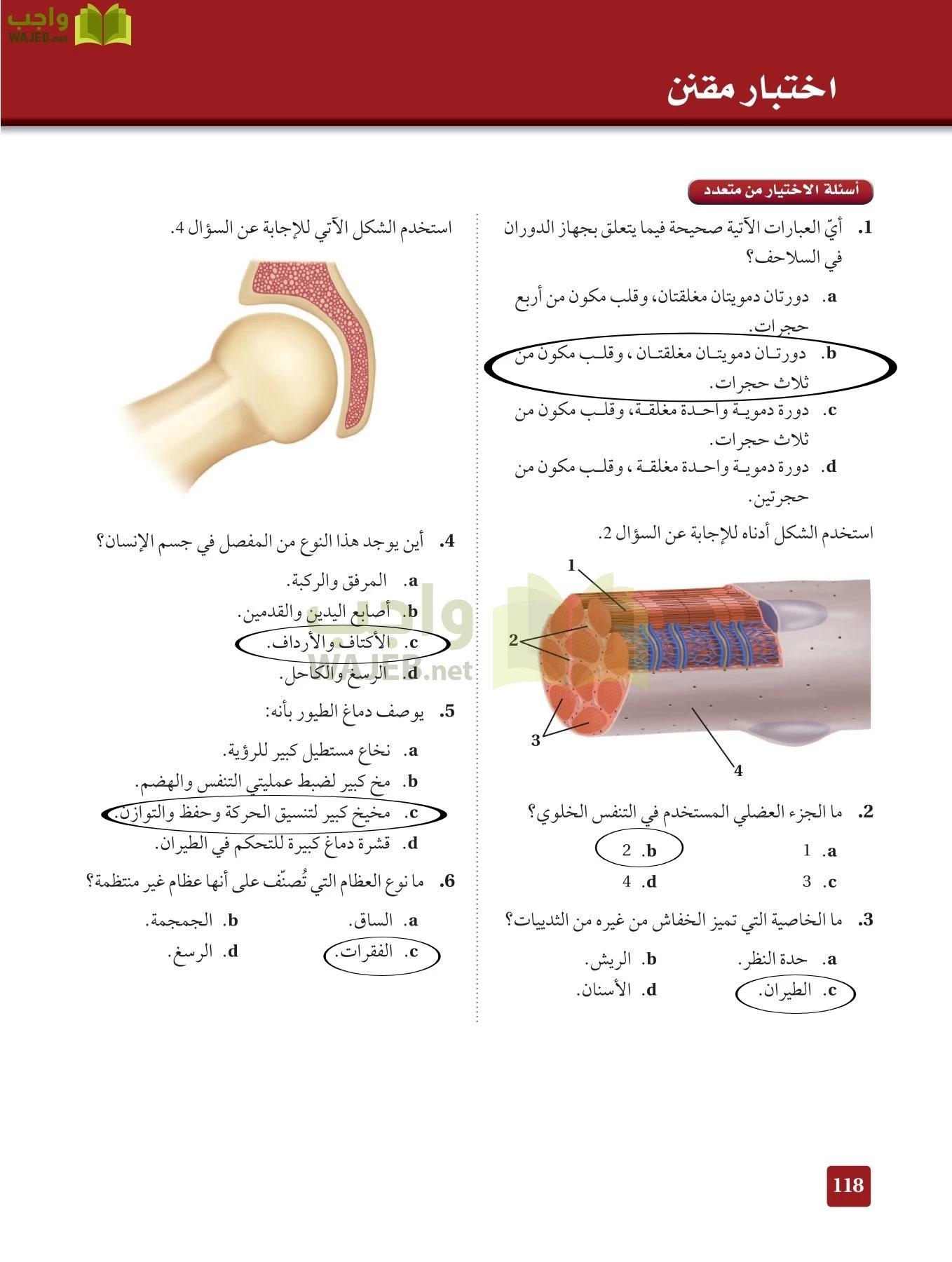 أحياء 2 مقررات page-117