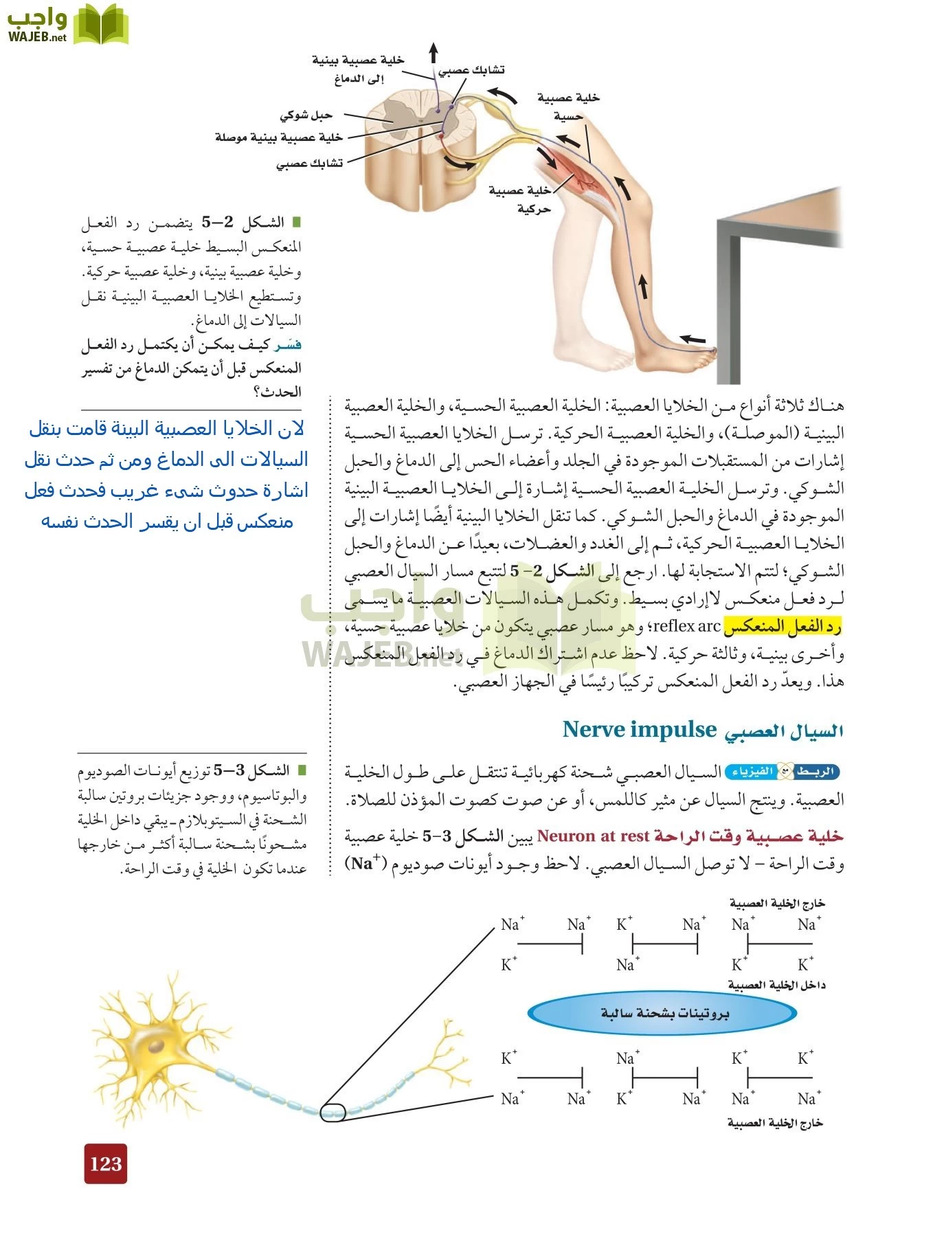 أحياء 2 مقررات page-122