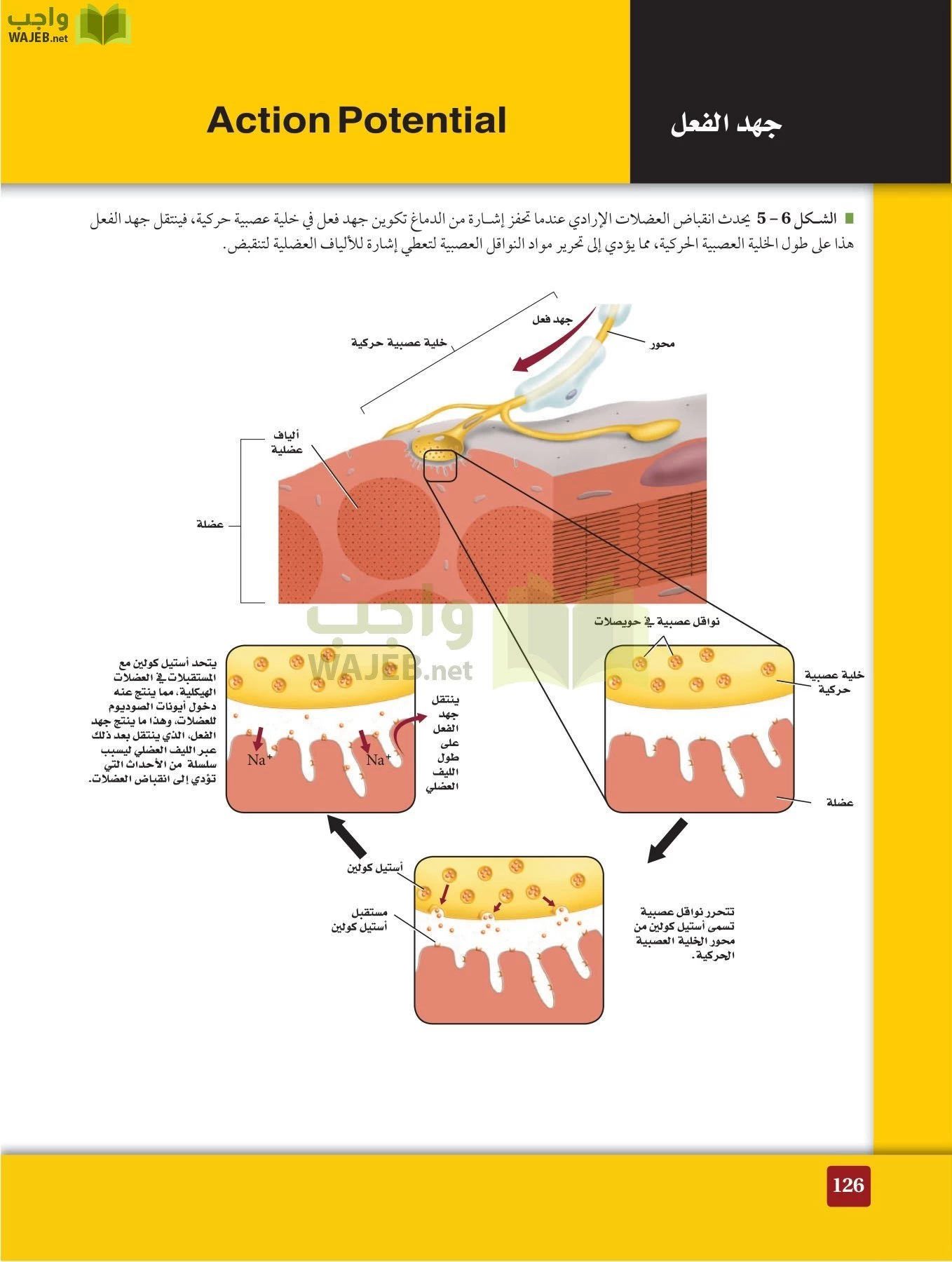 أحياء 2 مقررات page-125