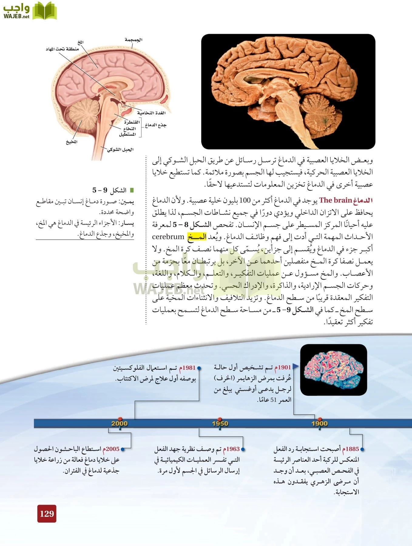 أحياء 2 مقررات page-128