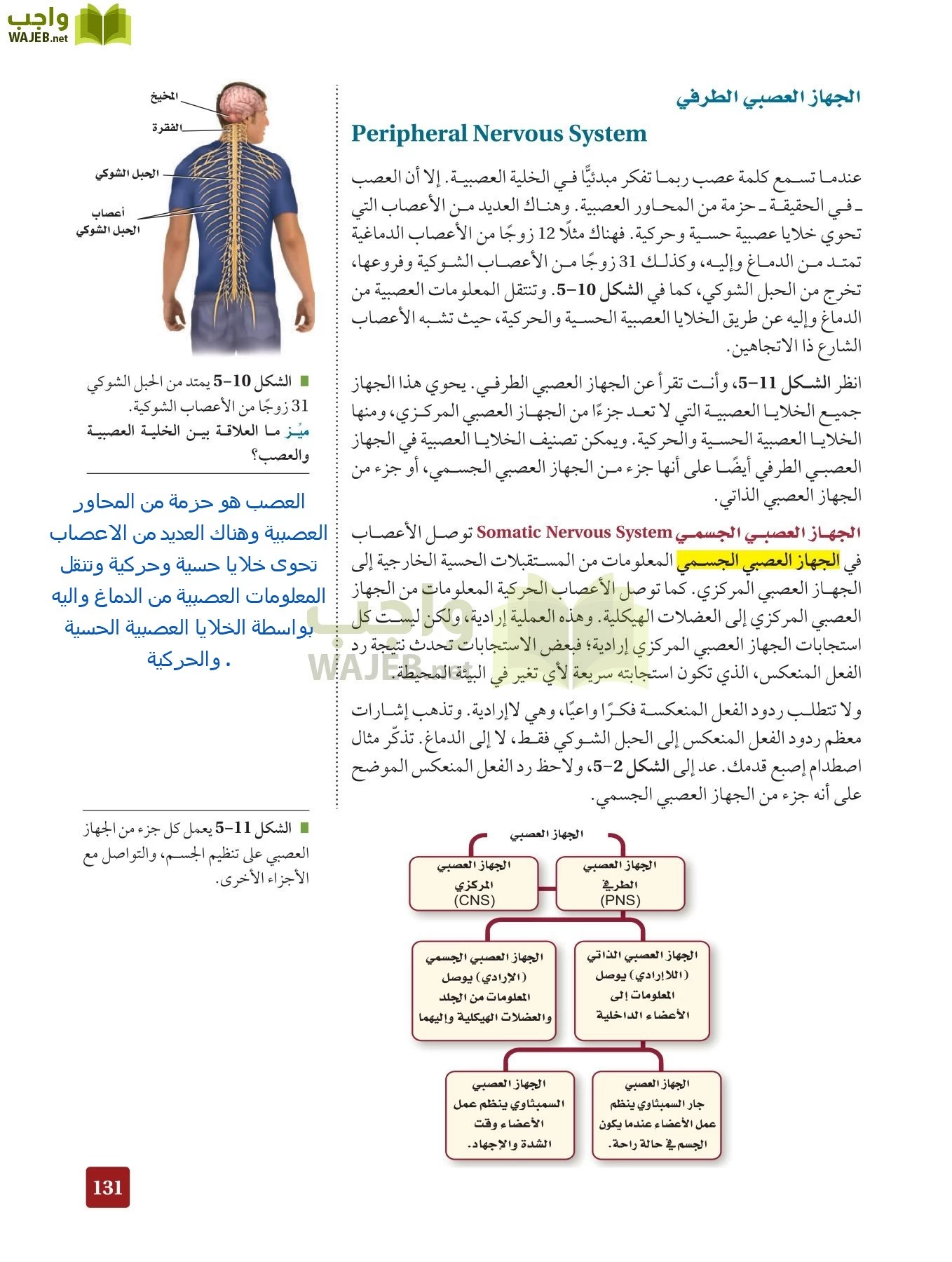 أحياء 2 مقررات page-130