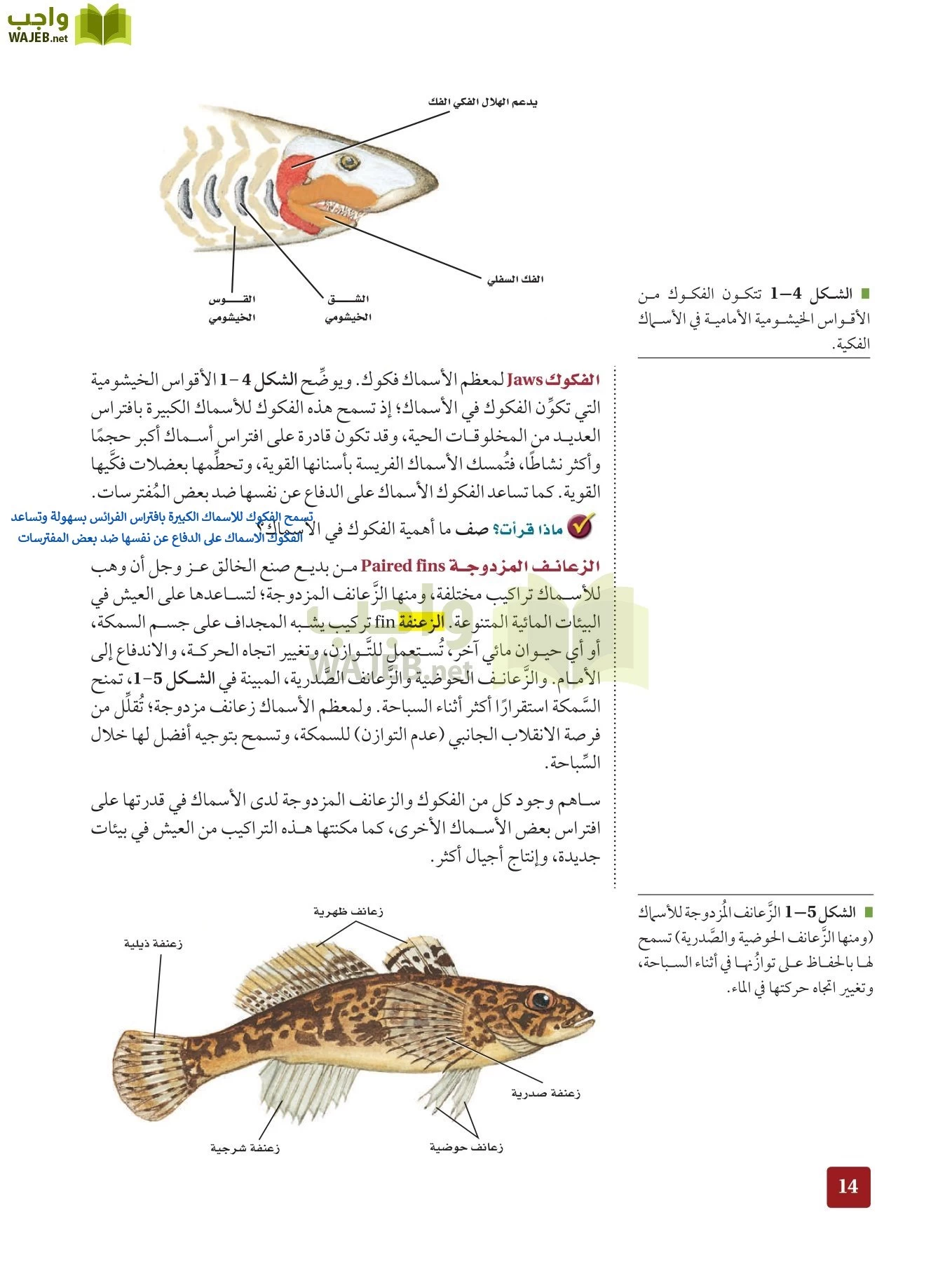 أحياء 2 مقررات page-13