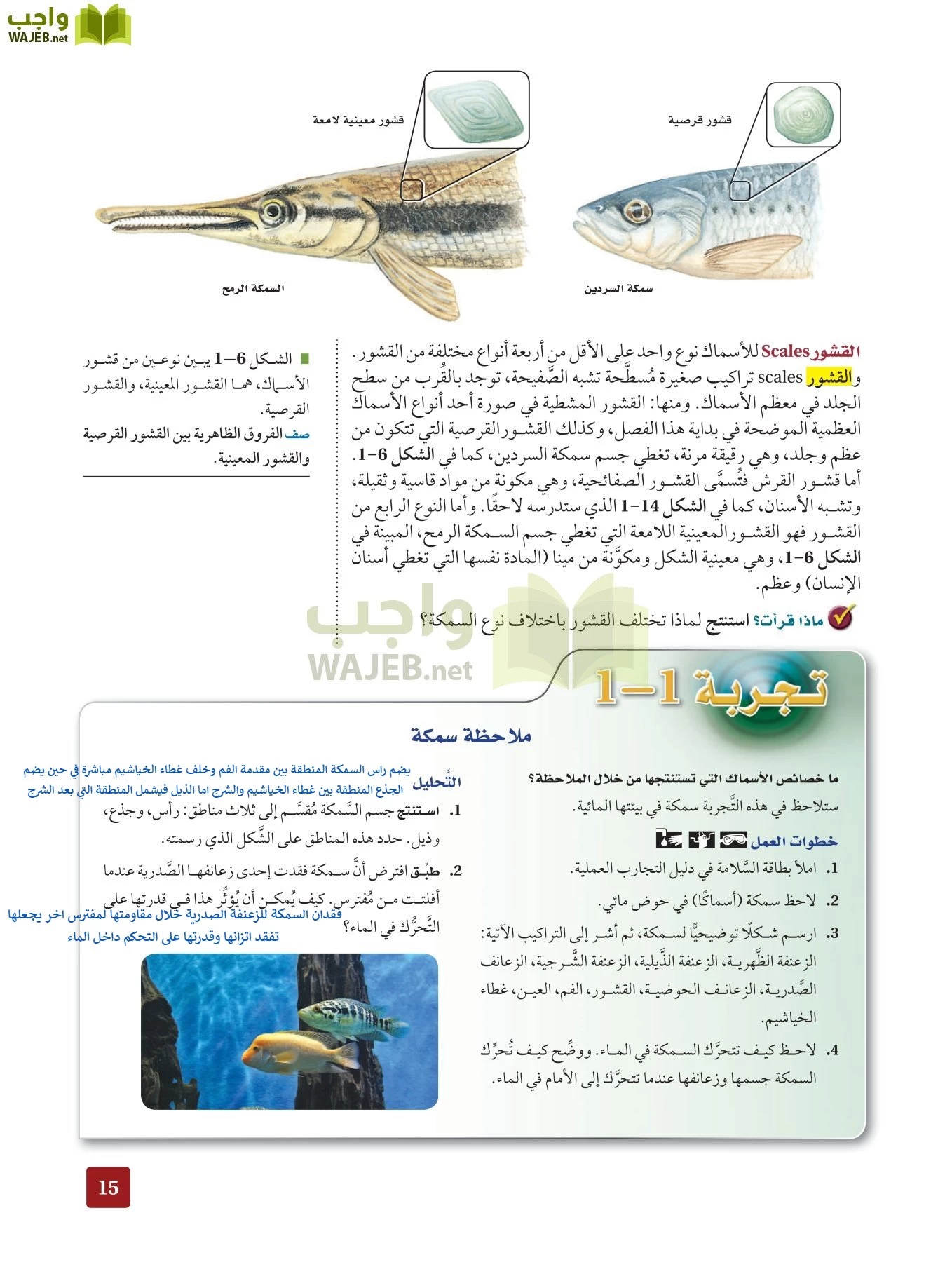 أحياء 2 مقررات page-14