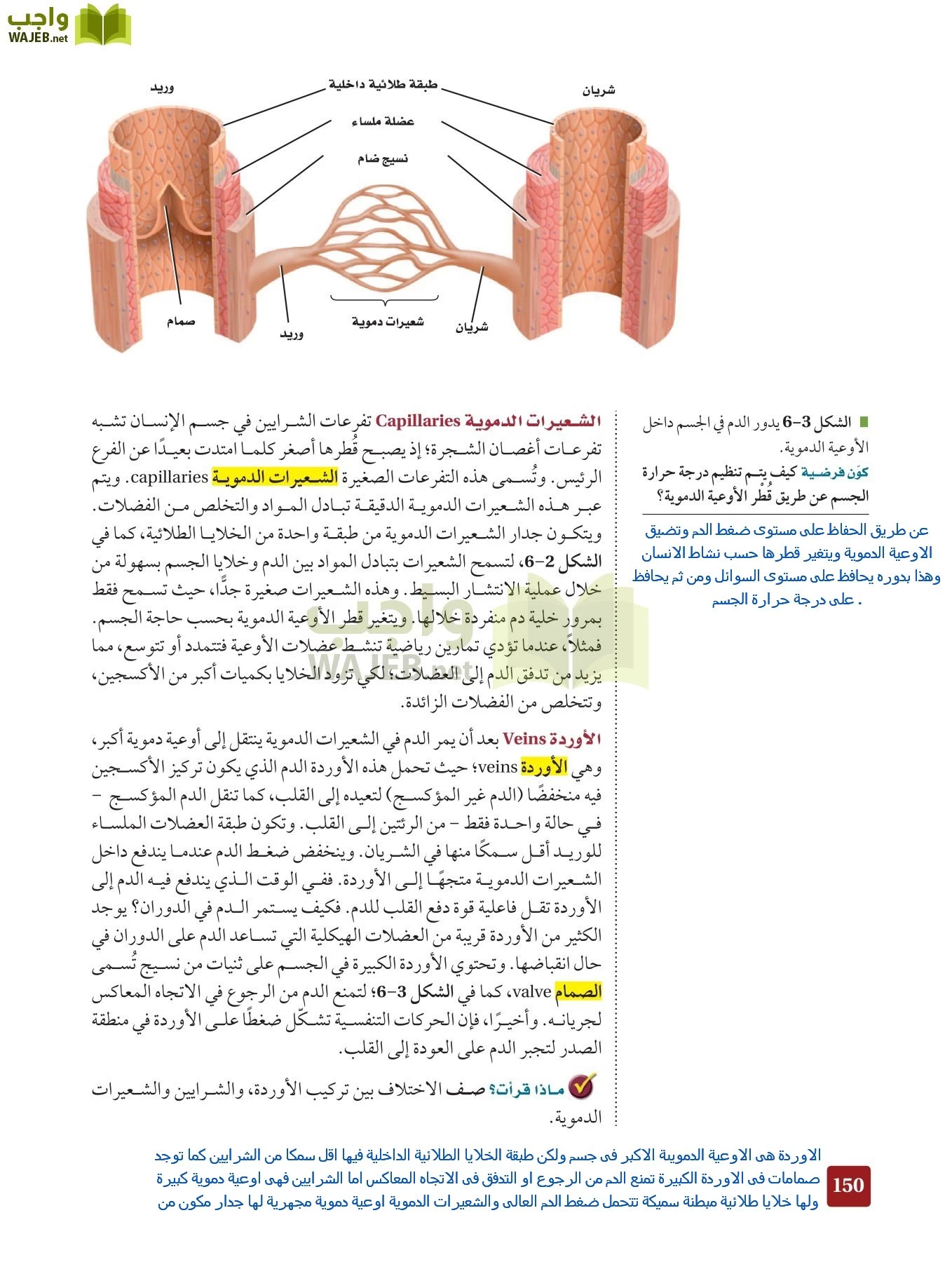 أحياء 2 مقررات page-149