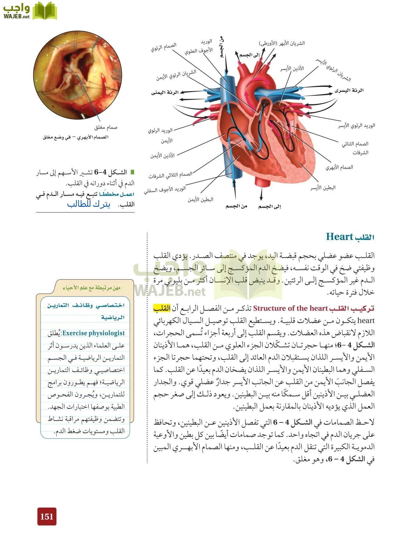 أحياء 2 مقررات page-150