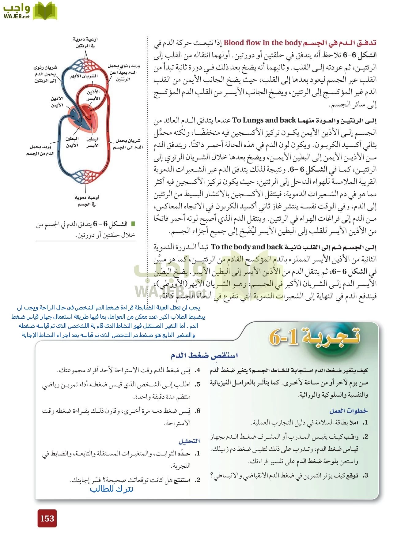 أحياء 2 مقررات page-152