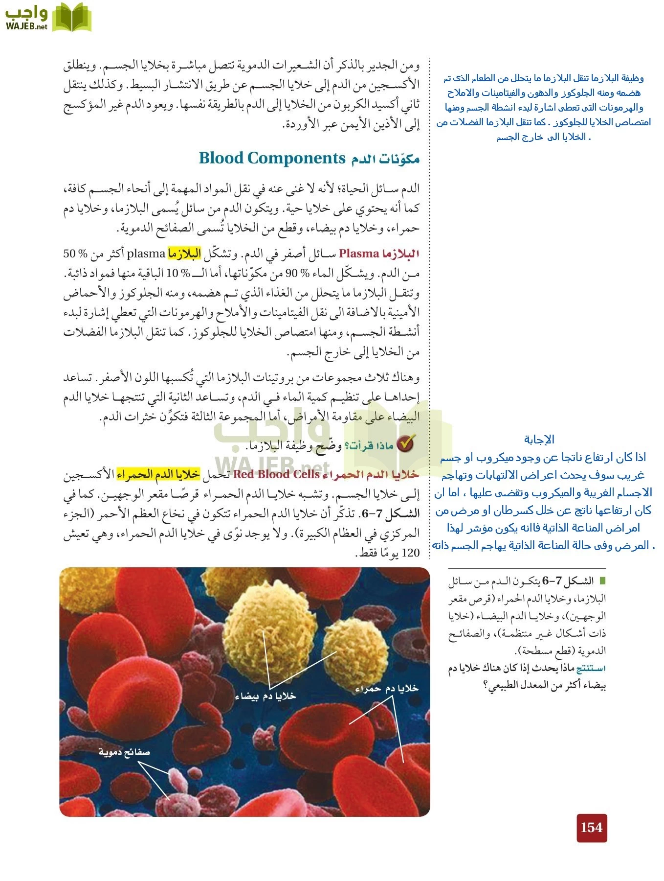 أحياء 2 مقررات page-153