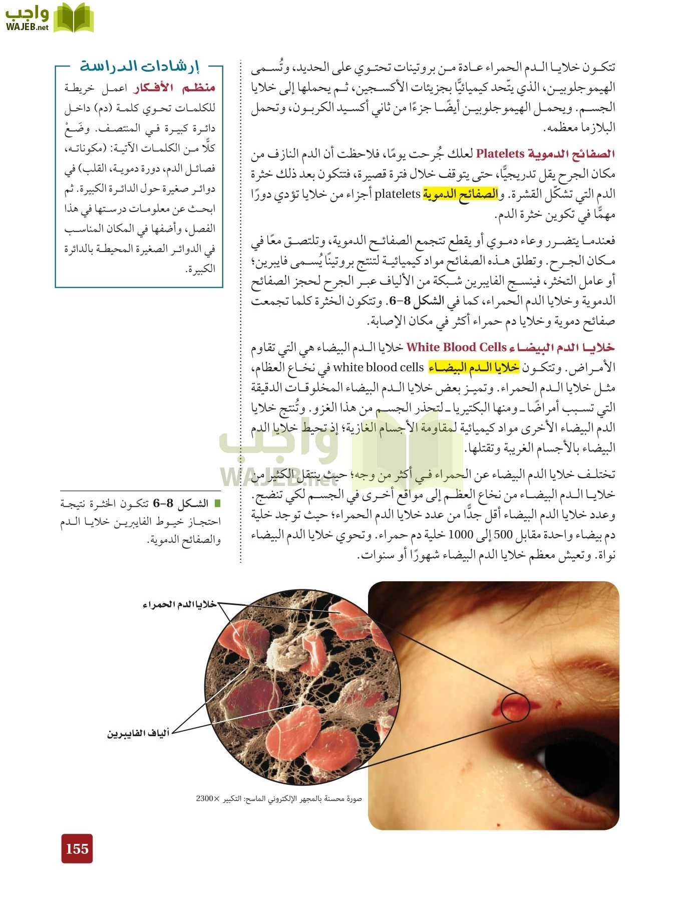 أحياء 2 مقررات page-154