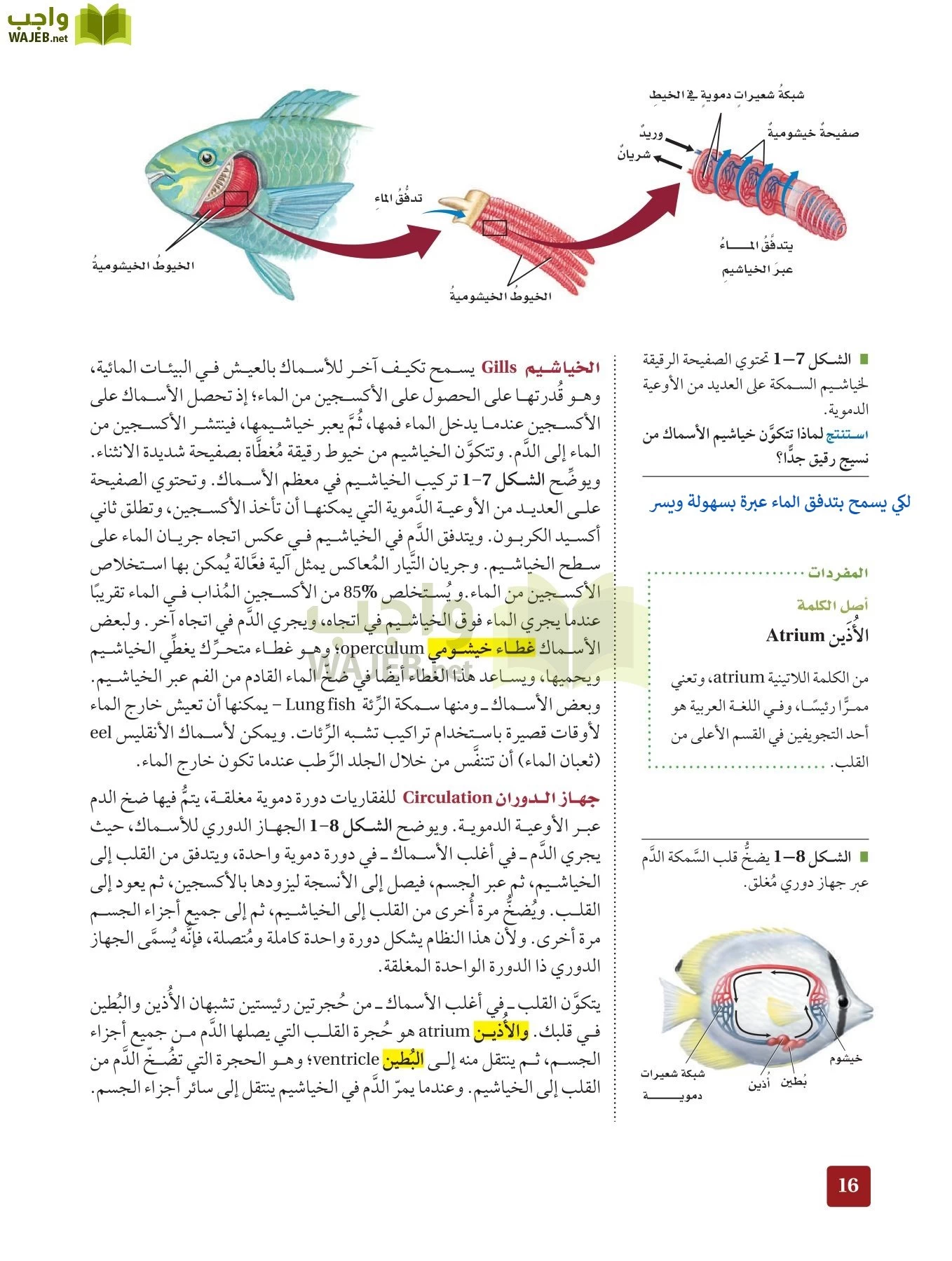 أحياء 2 مقررات page-15