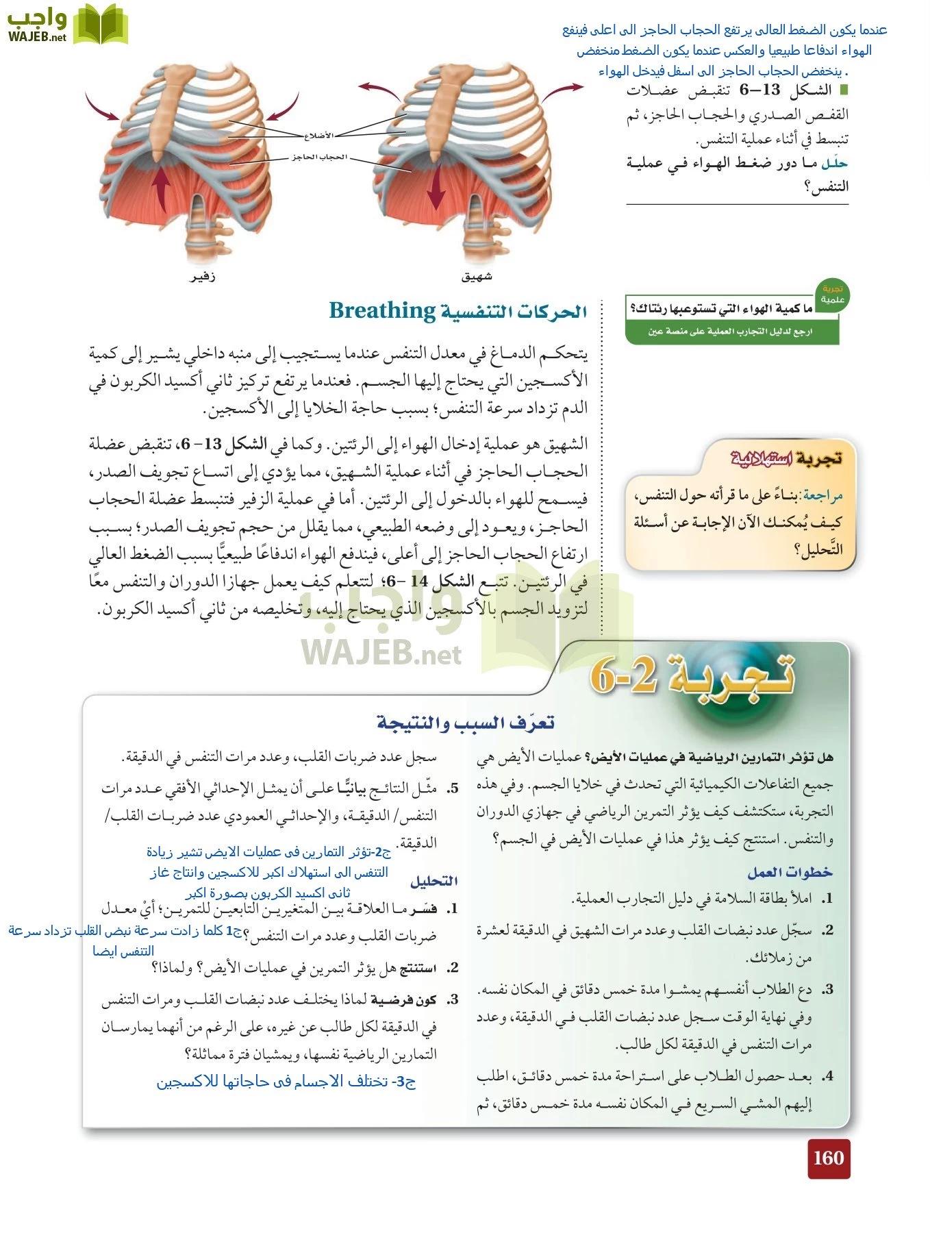 أحياء 2 مقررات page-159