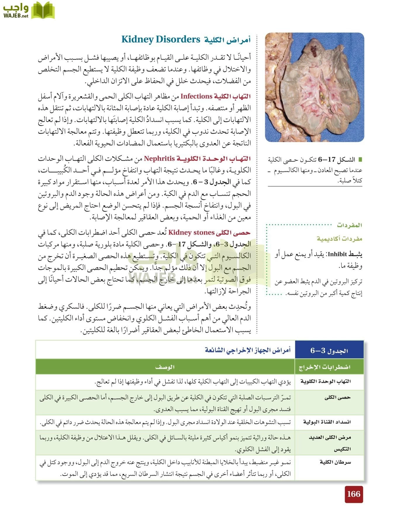 أحياء 2 مقررات page-165