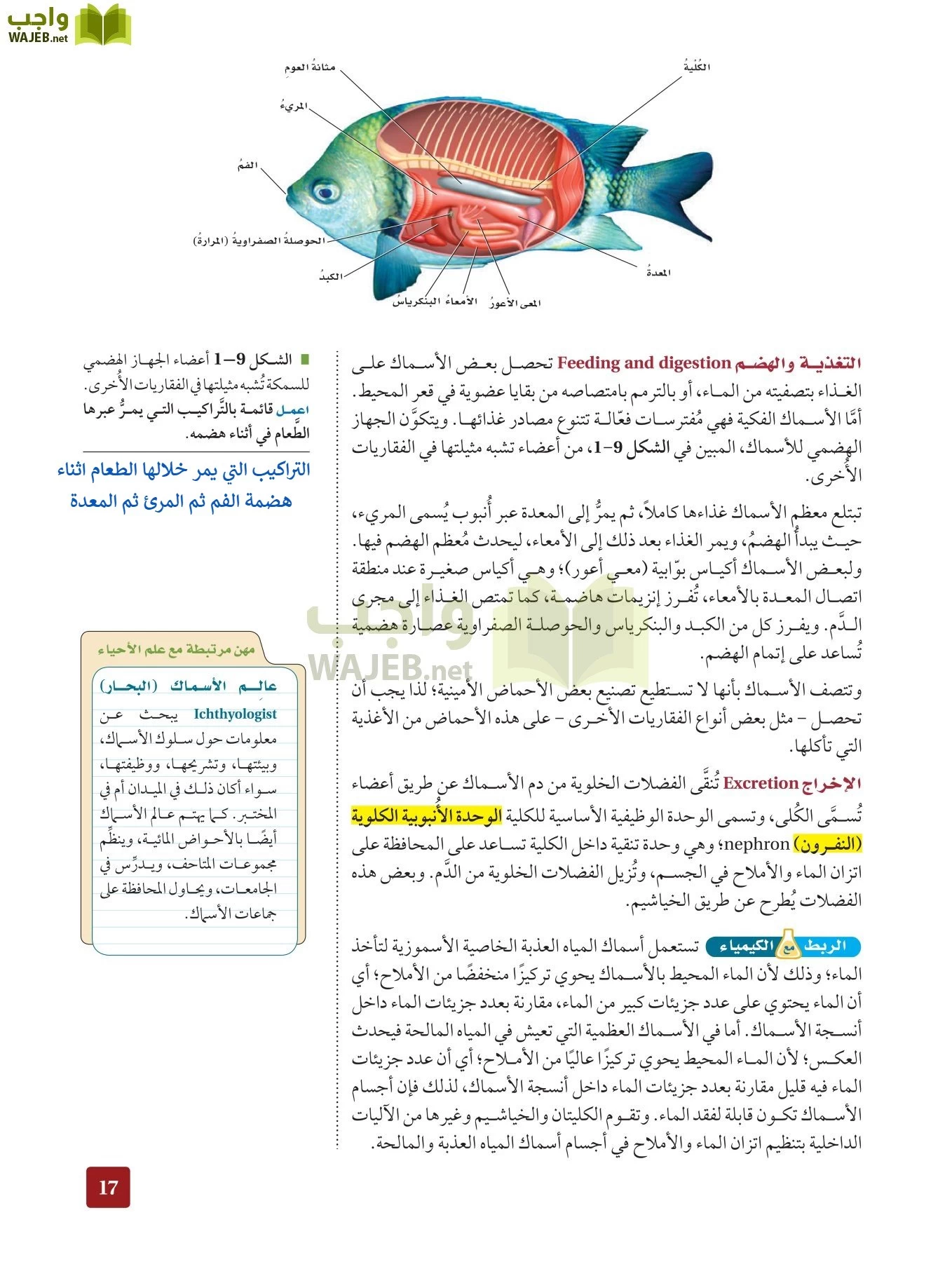 أحياء 2 مقررات page-16