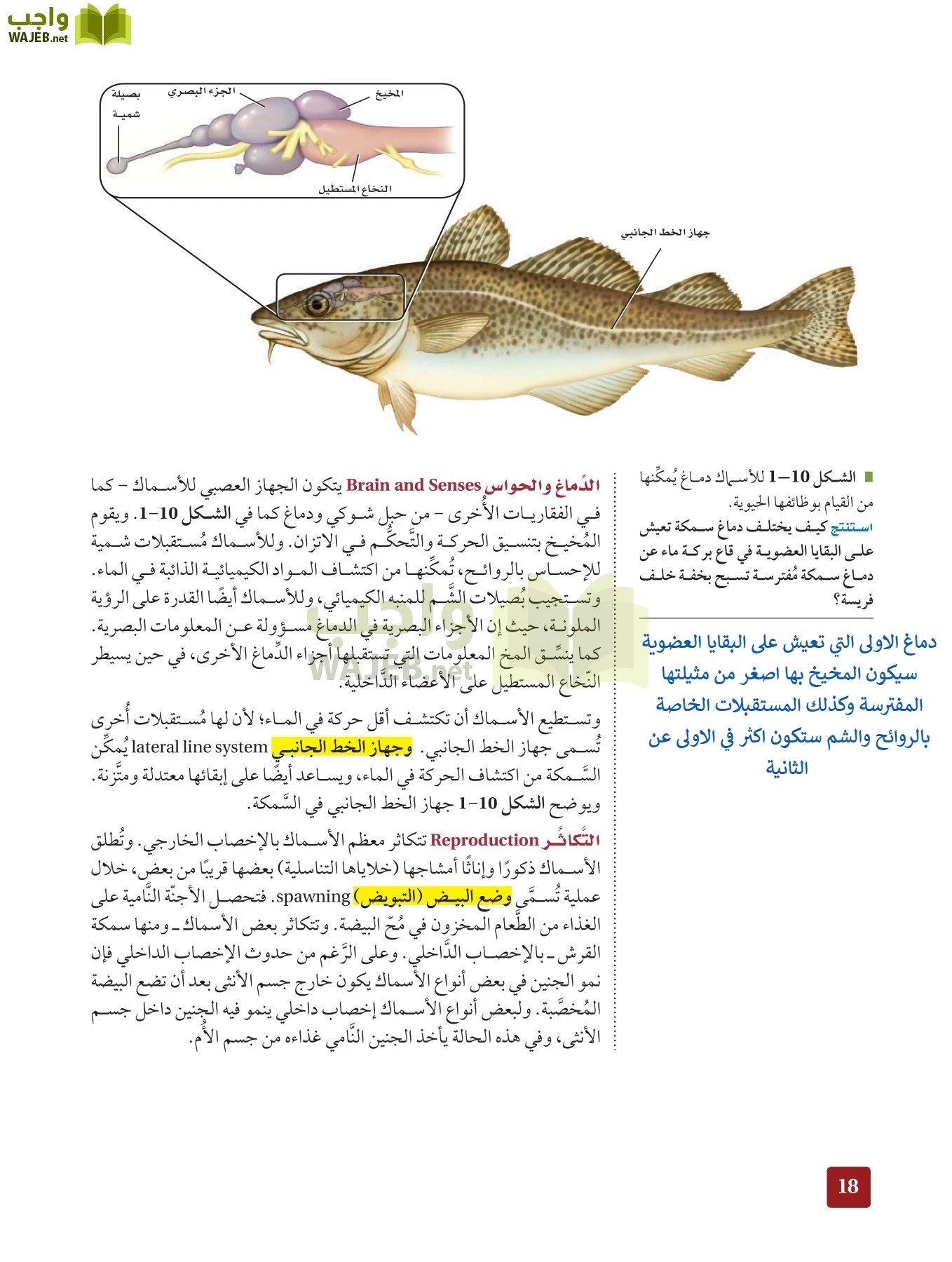 أحياء 2 مقررات page-17