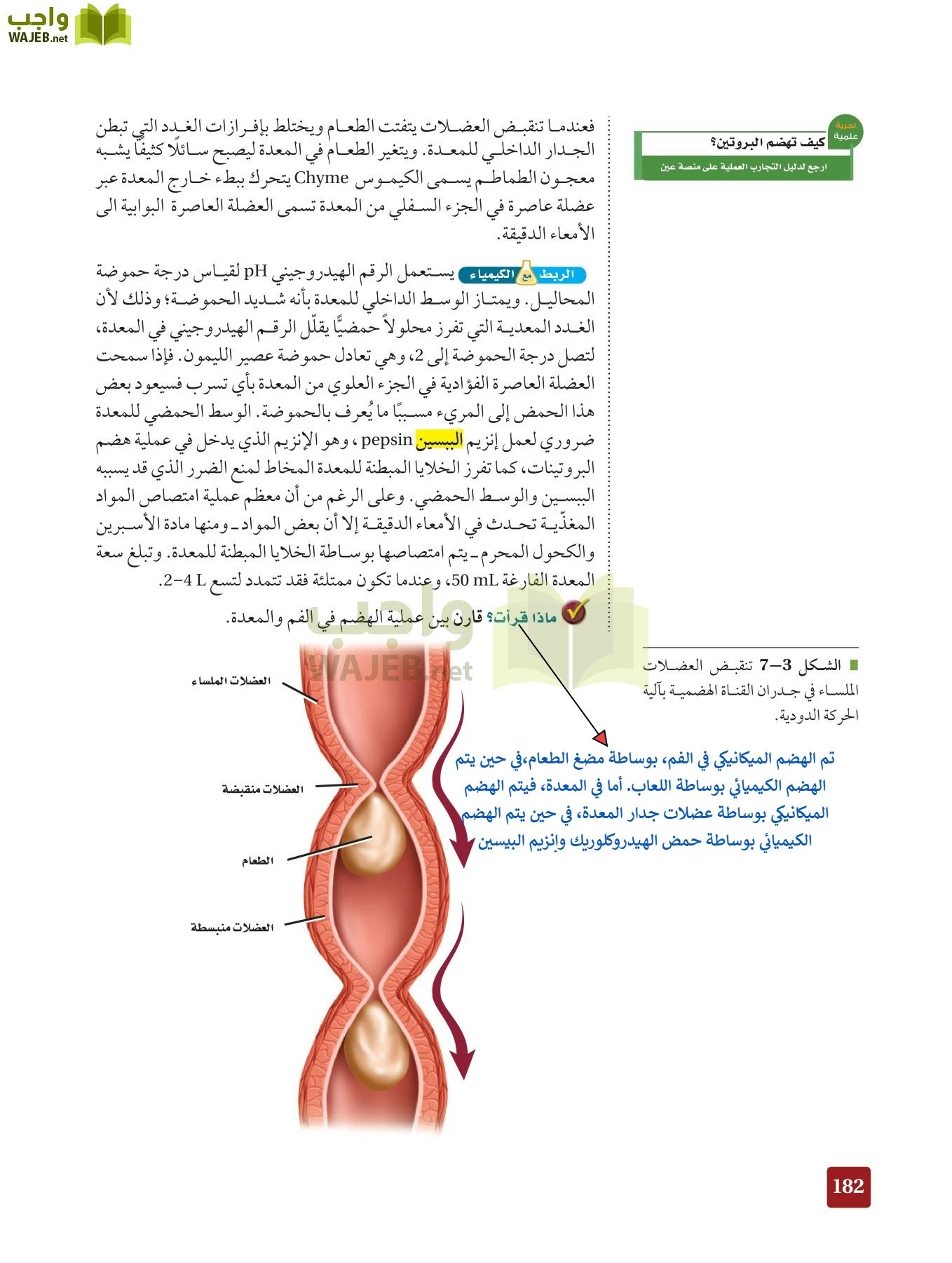 أحياء 2 مقررات page-181