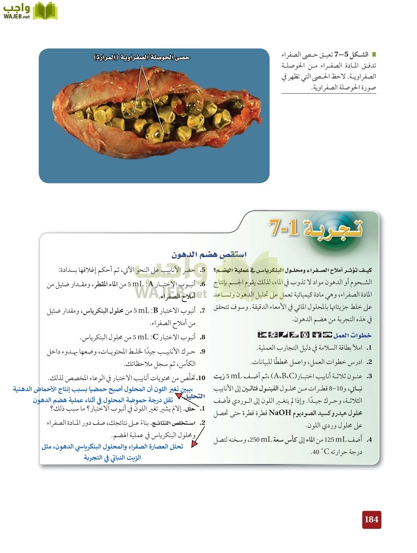 أحياء 2 مقررات page-183