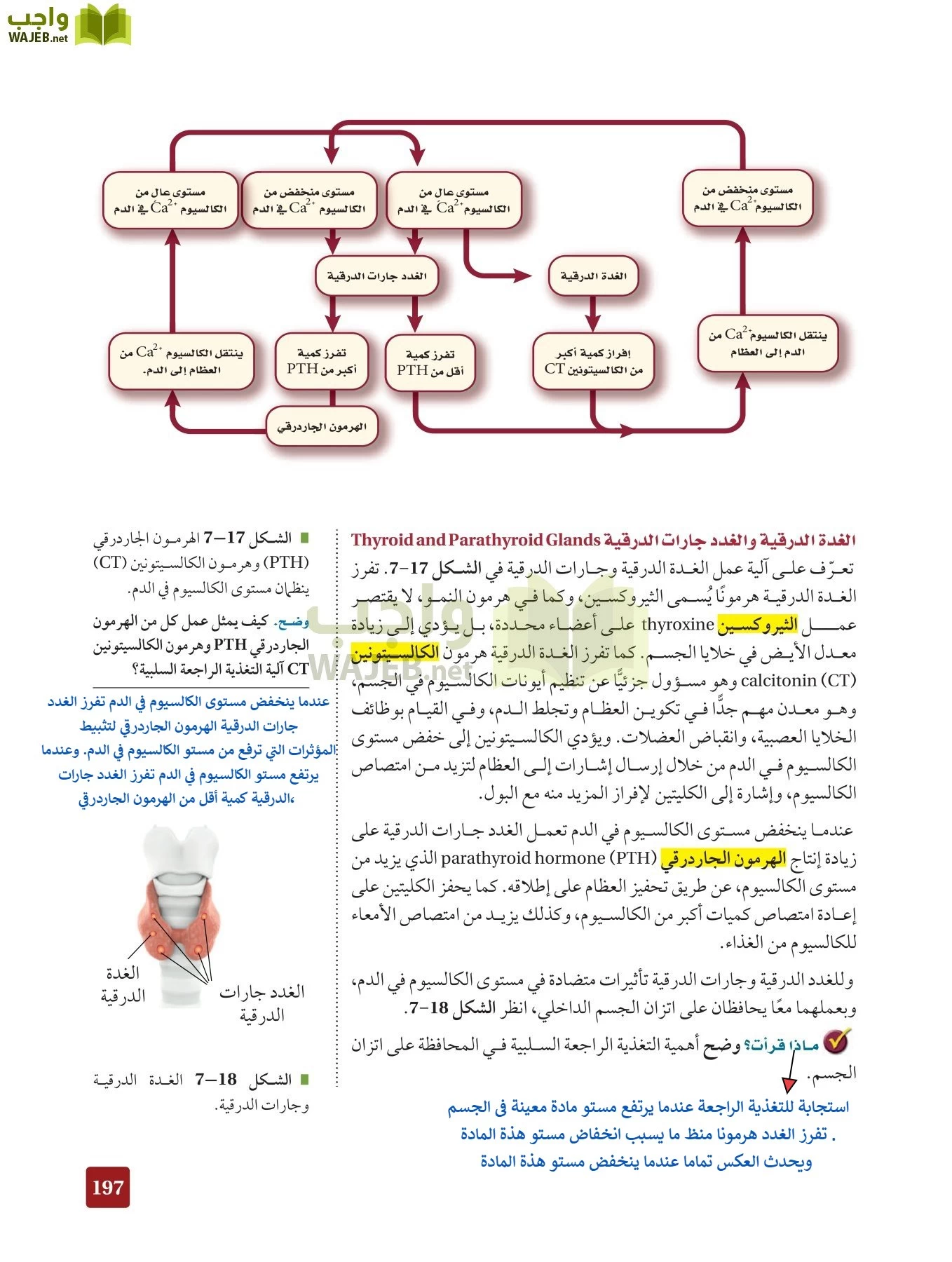 أحياء 2 مقررات page-196