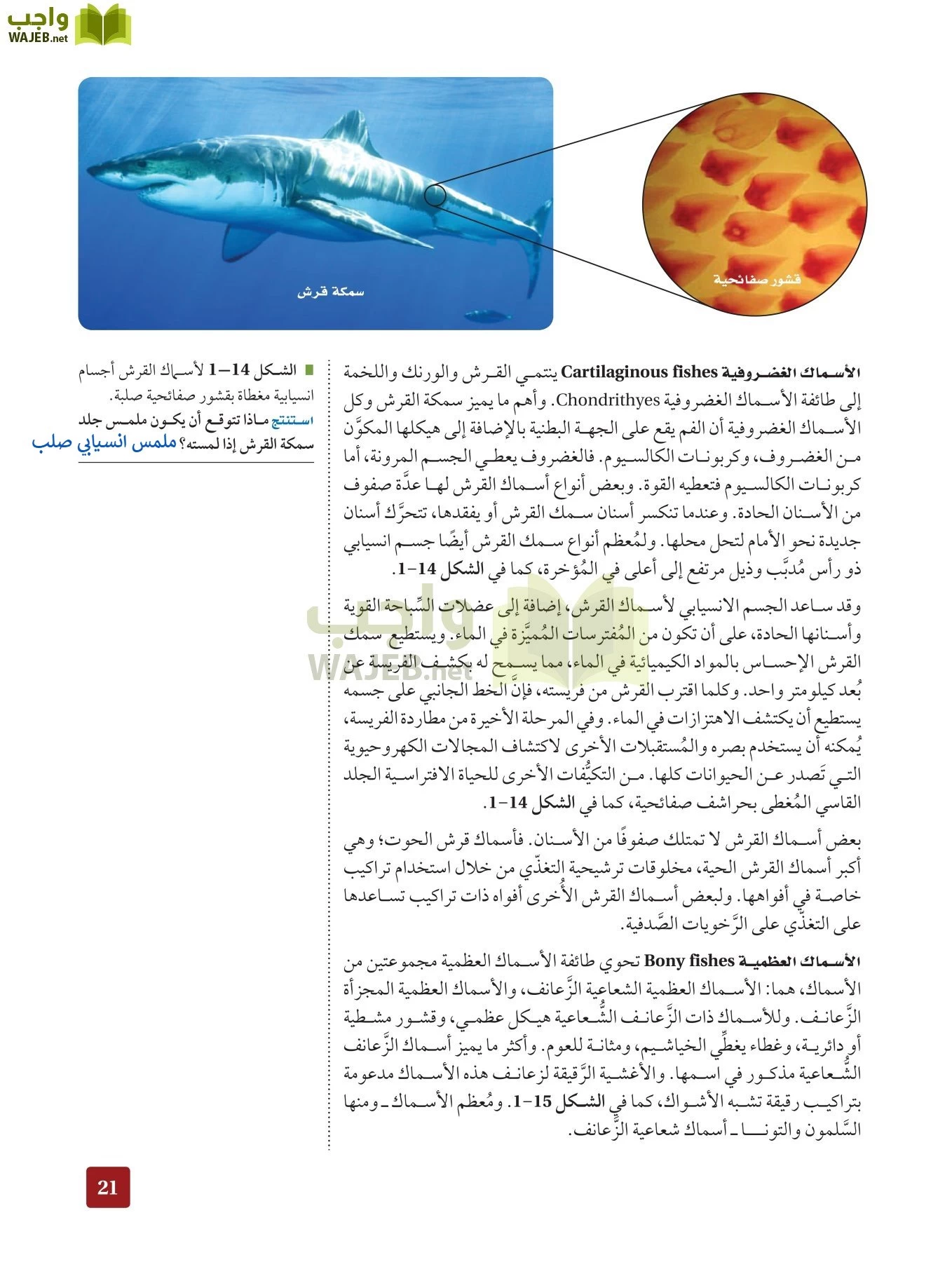 أحياء 2 مقررات page-20