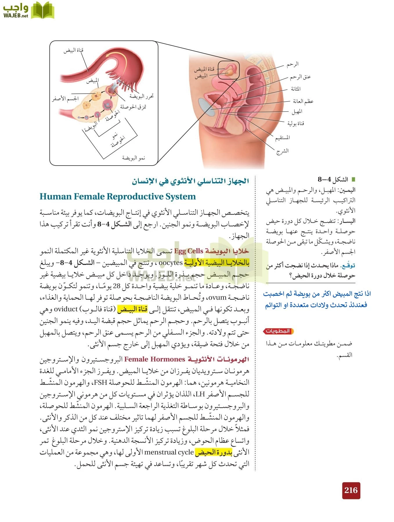 أحياء 2 مقررات page-215