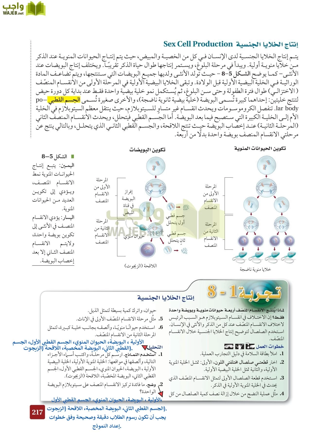 أحياء 2 مقررات page-216