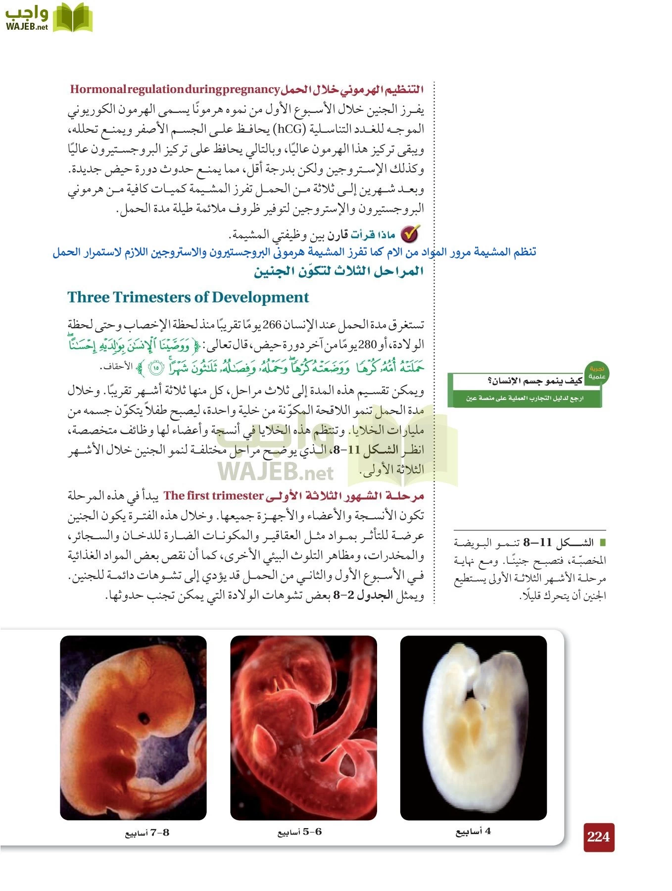 أحياء 2 مقررات page-223