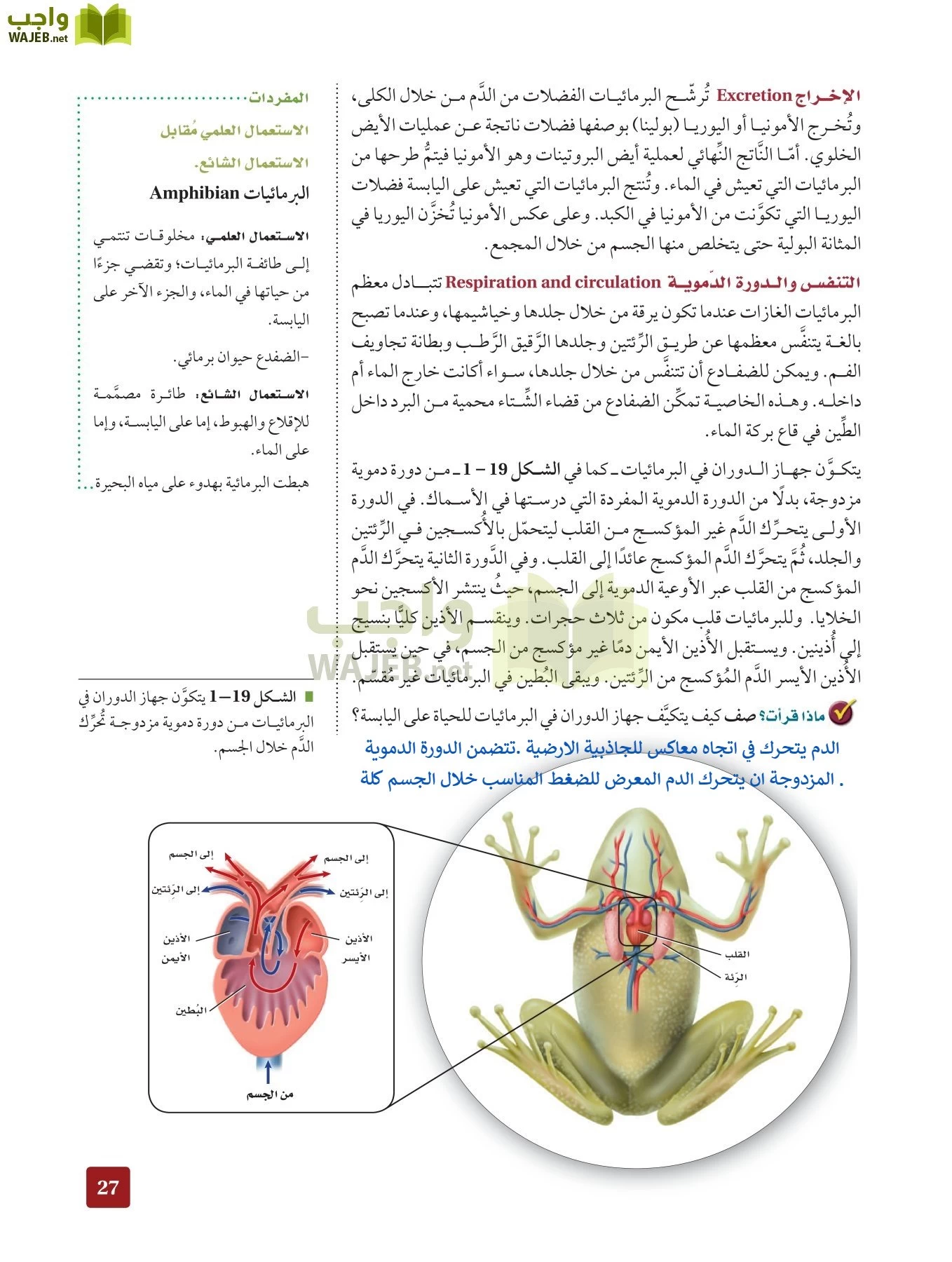 أحياء 2 مقررات page-26