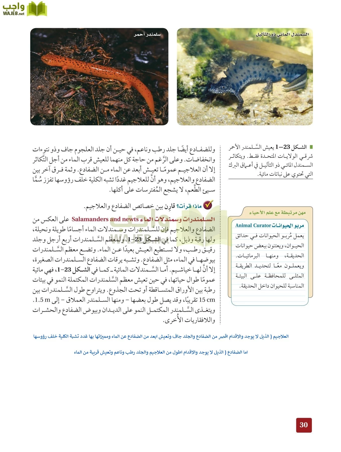 أحياء 2 مقررات page-29