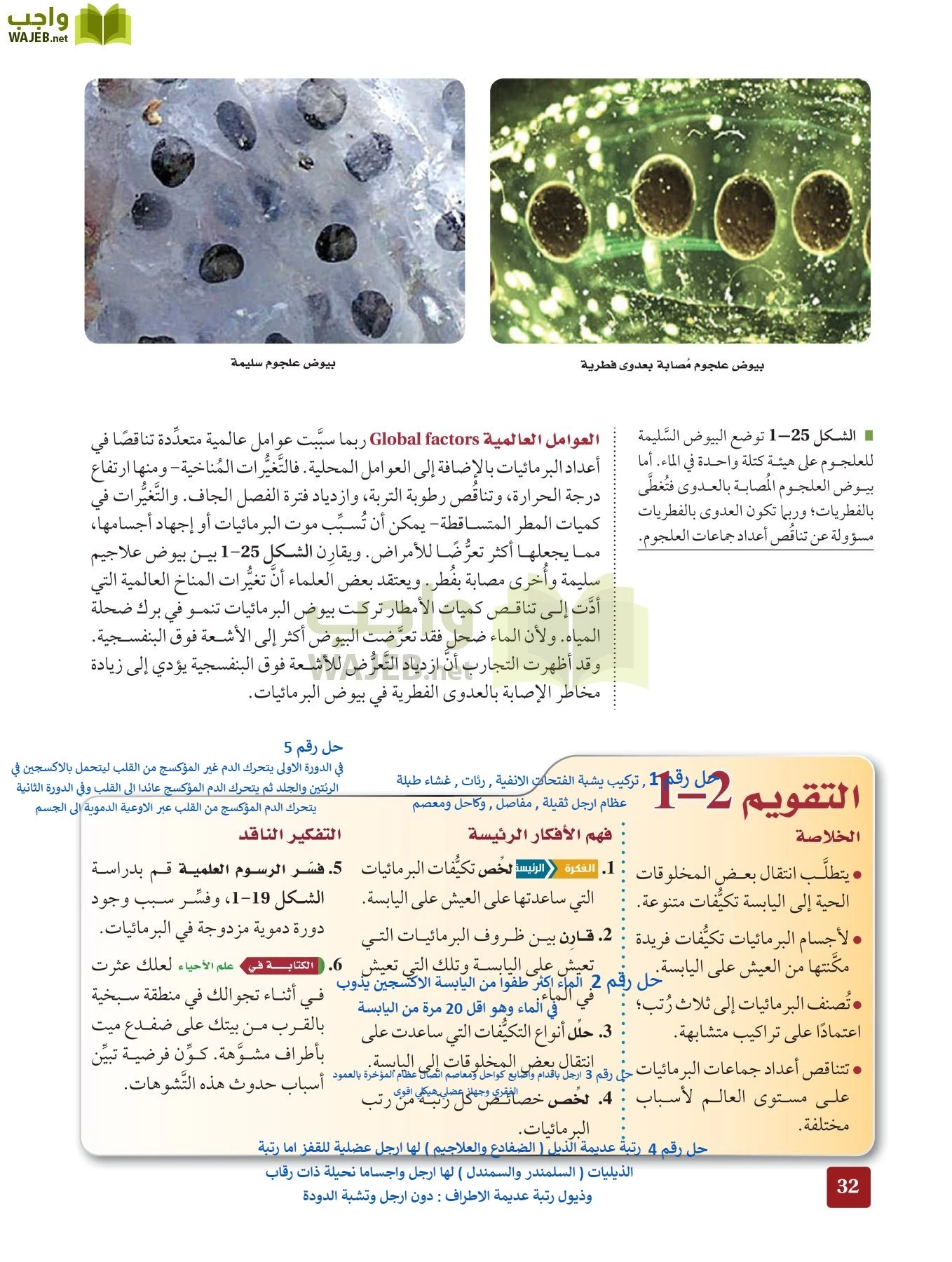 أحياء 2 مقررات page-31