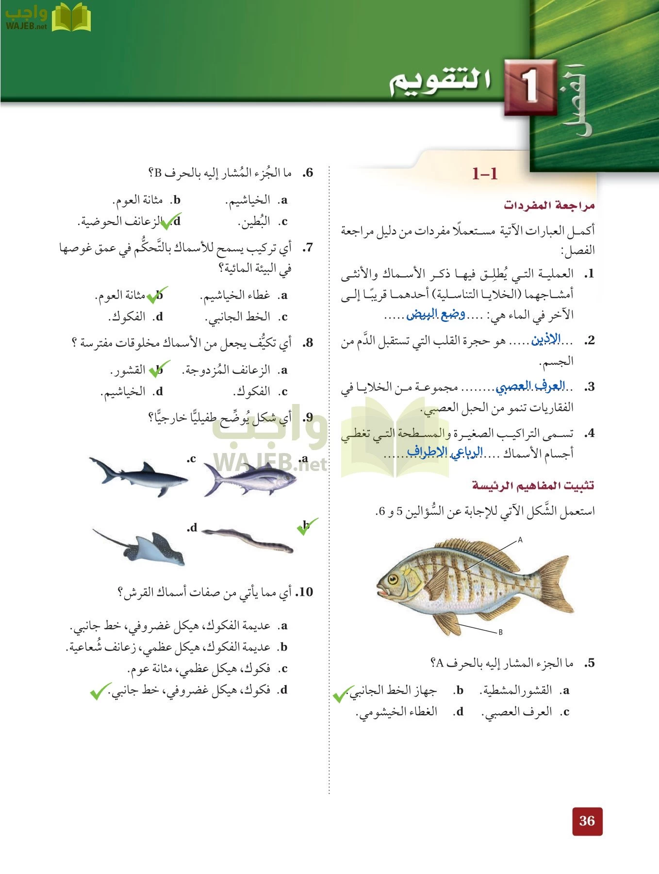 أحياء 2 مقررات page-35