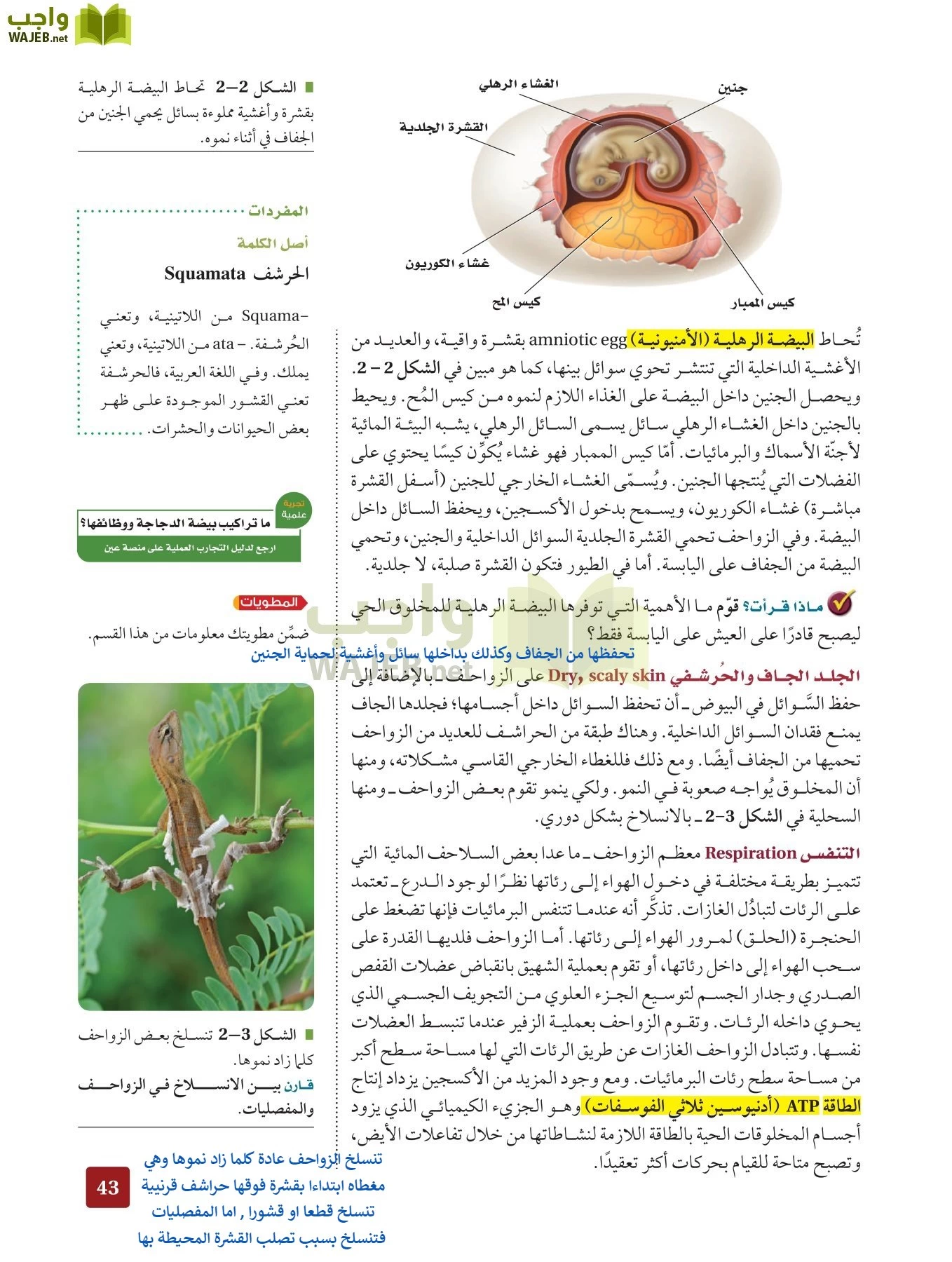 أحياء 2 مقررات page-42